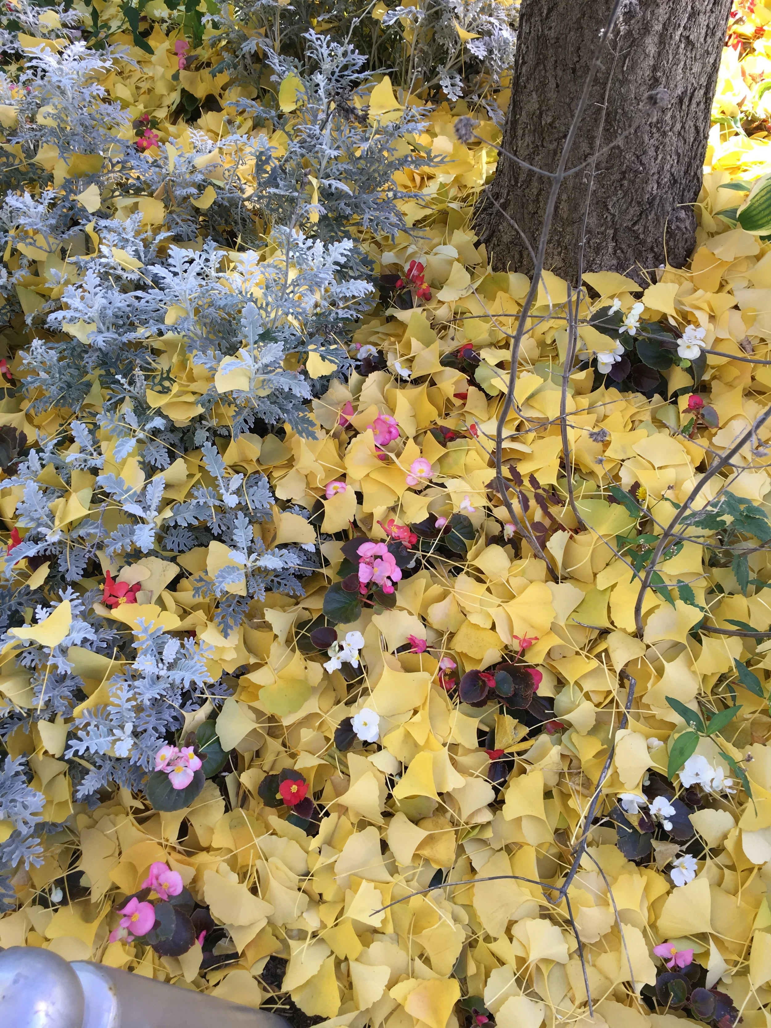 National Recovery Month