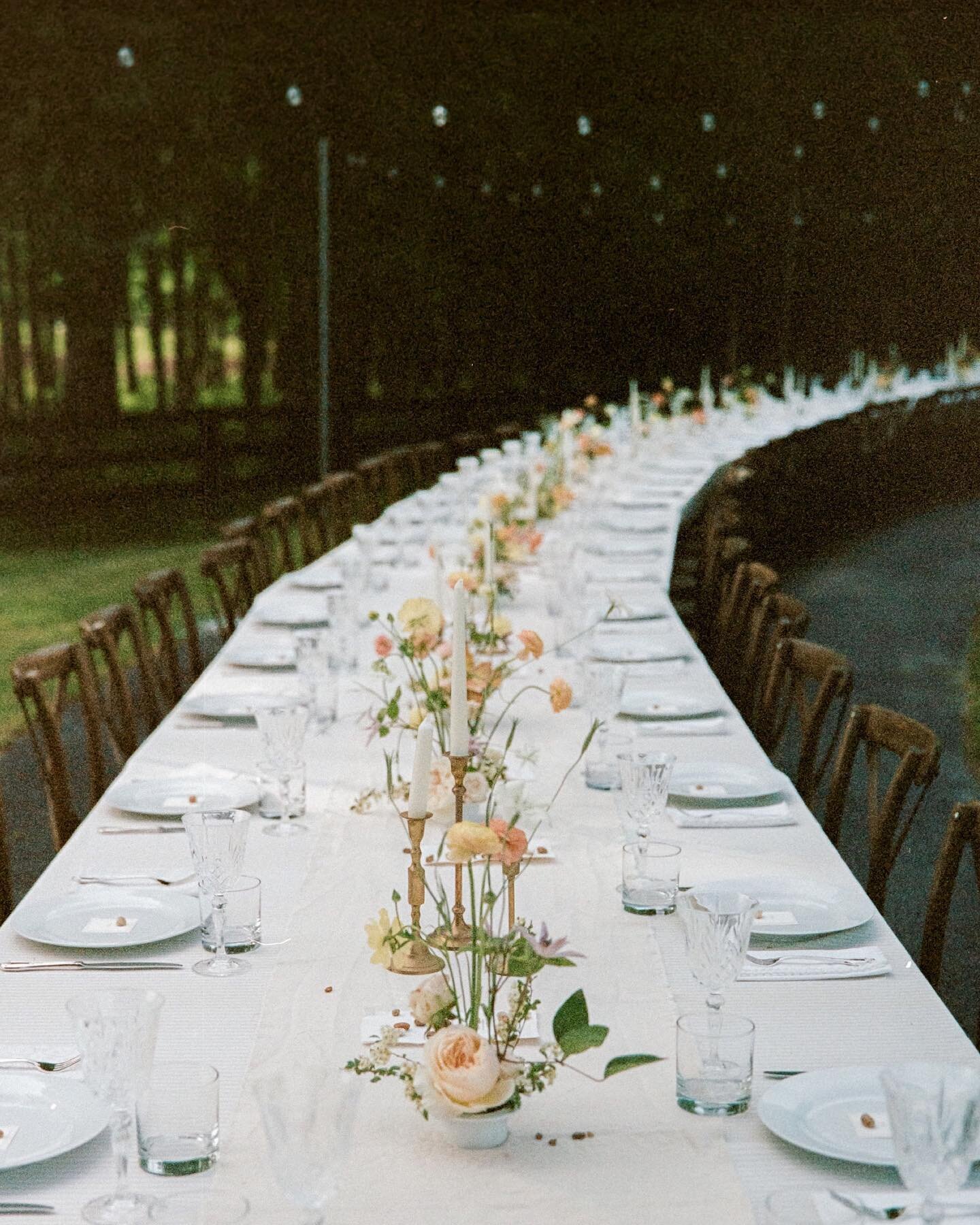 ok, ok, the last chapter of wedding photos for now: my favorite dinner party.

in the months leading up to april 30th, we took countless outings to junk stores to collect all of the white antique napkins and brass candlesticks and ceramic serving pla