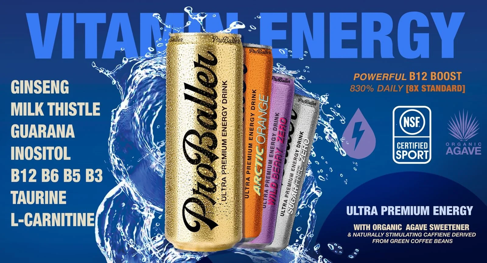 New Landscape amzon.jpg