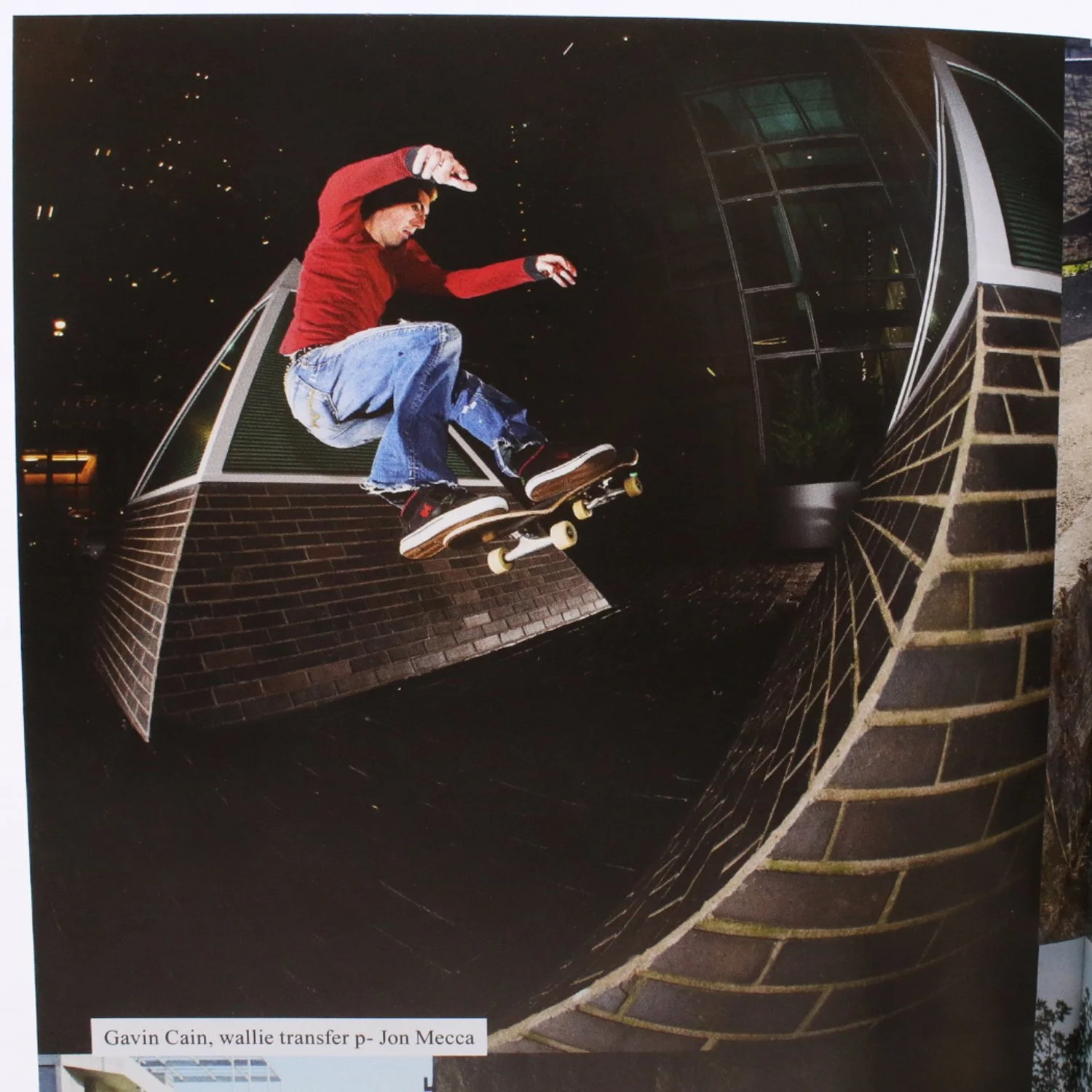 skatejawnWEB (3 of 4).jpg