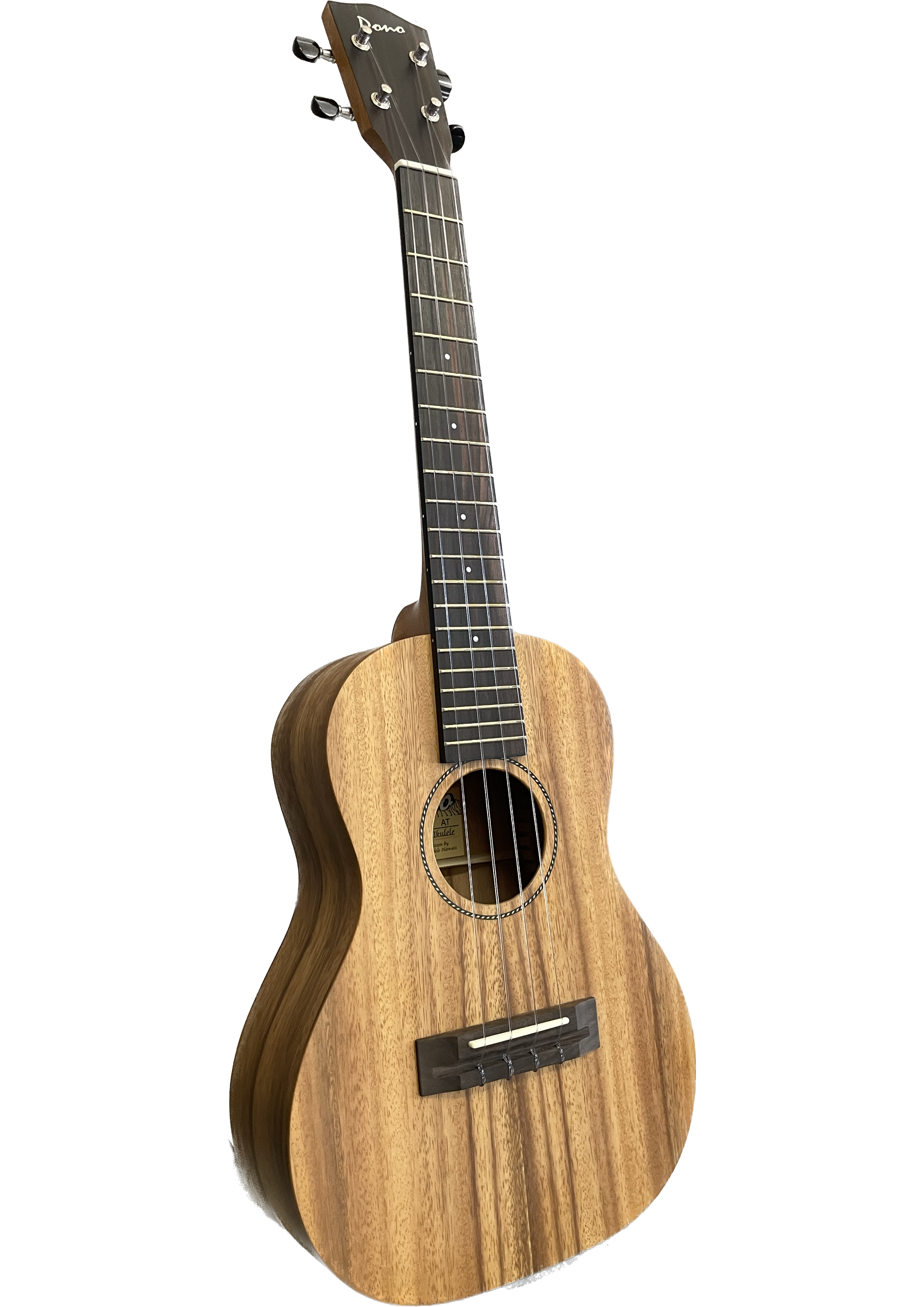 Untitled_Artwork 1 (1).png