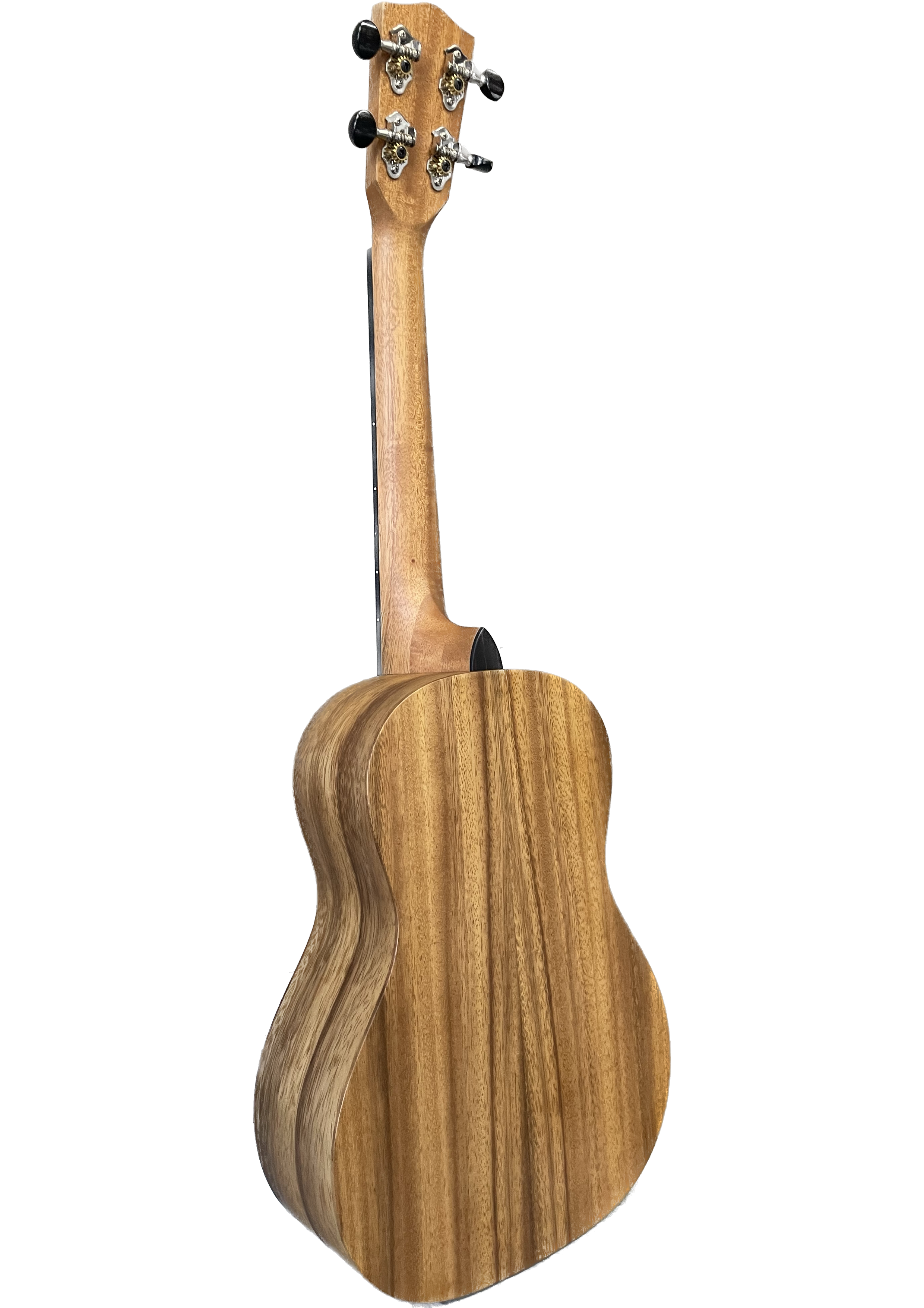 Untitled_Artwork (1).png