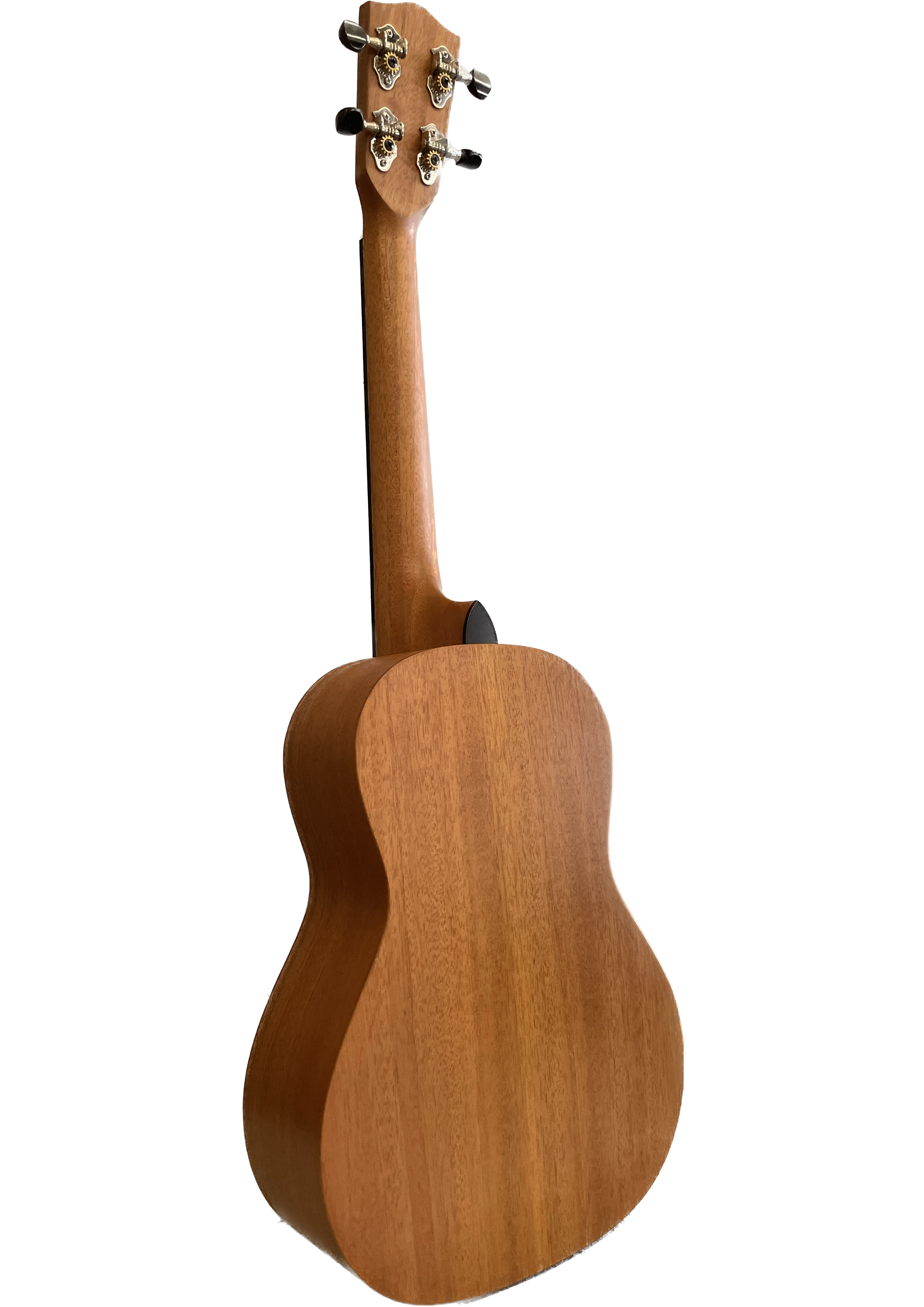 Untitled_Artwork (3).png