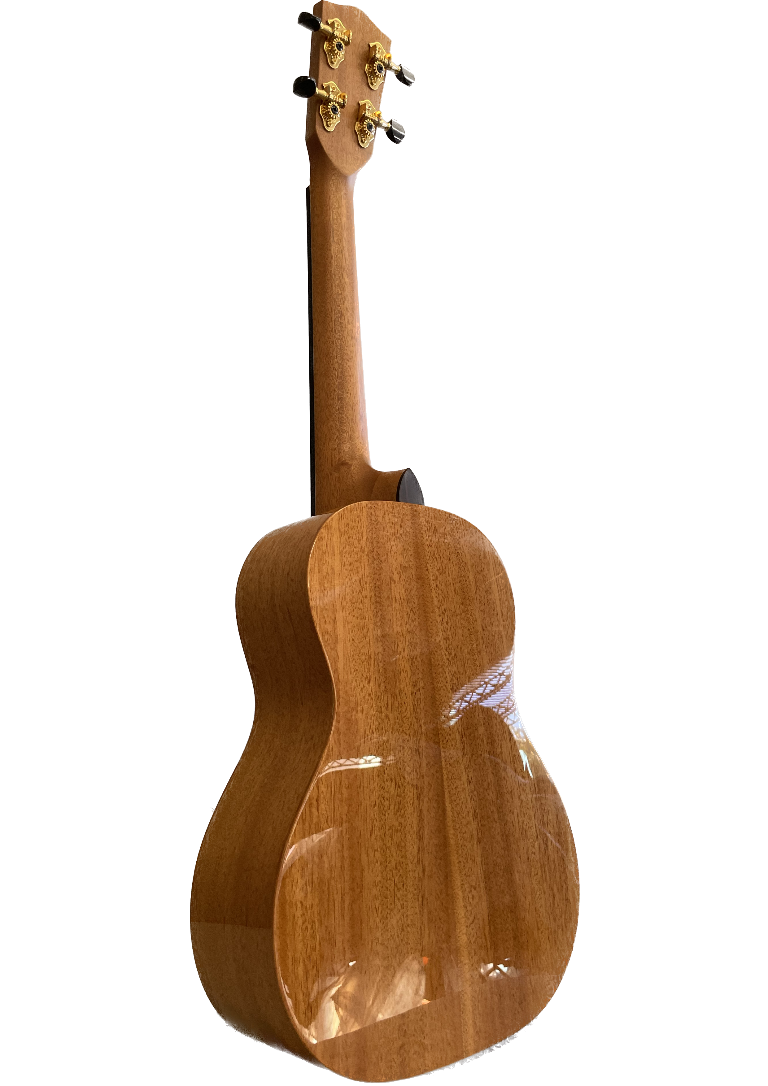 Untitled_Artwork 2 (2).png