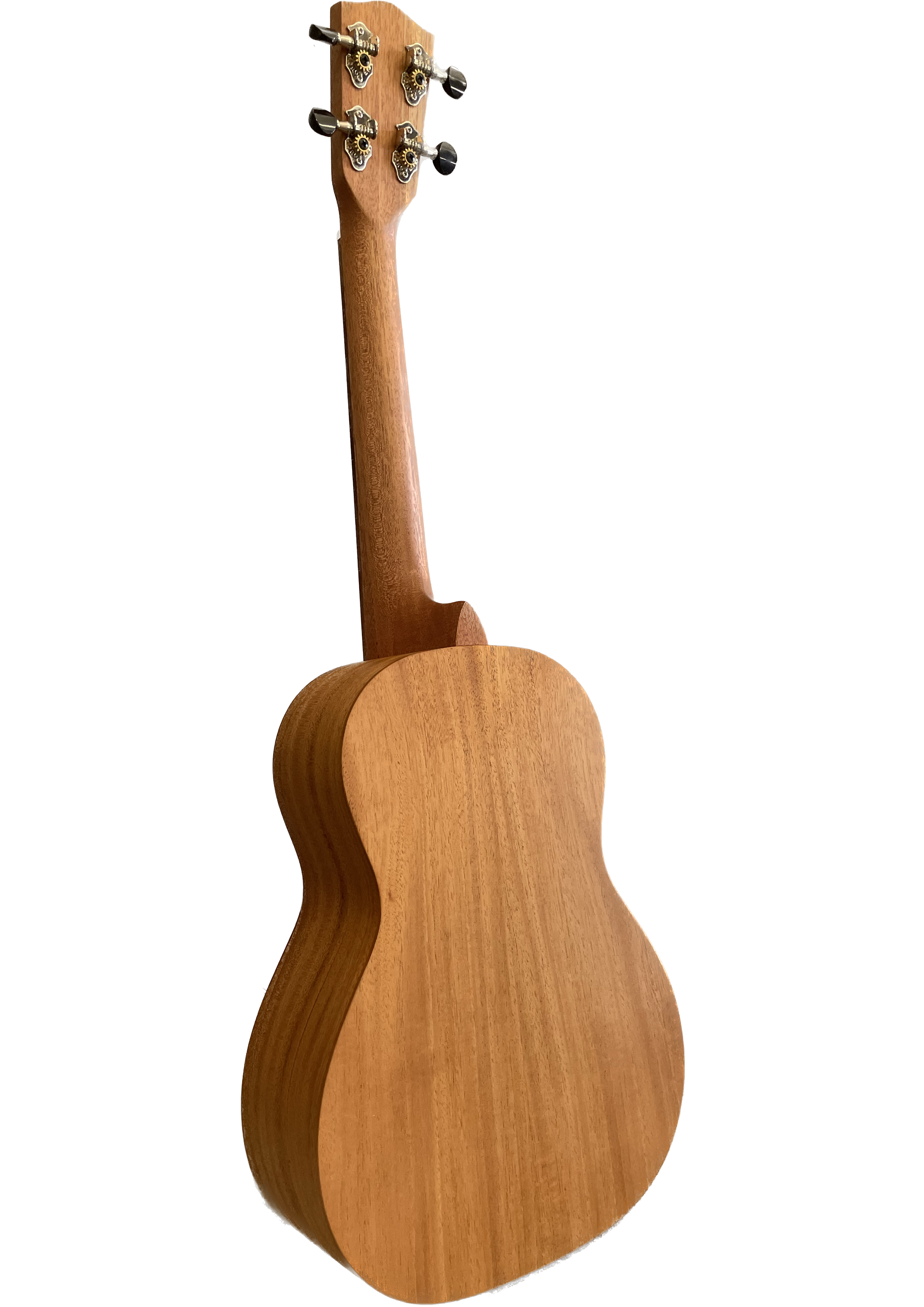 Untitled_Artwork (5).png