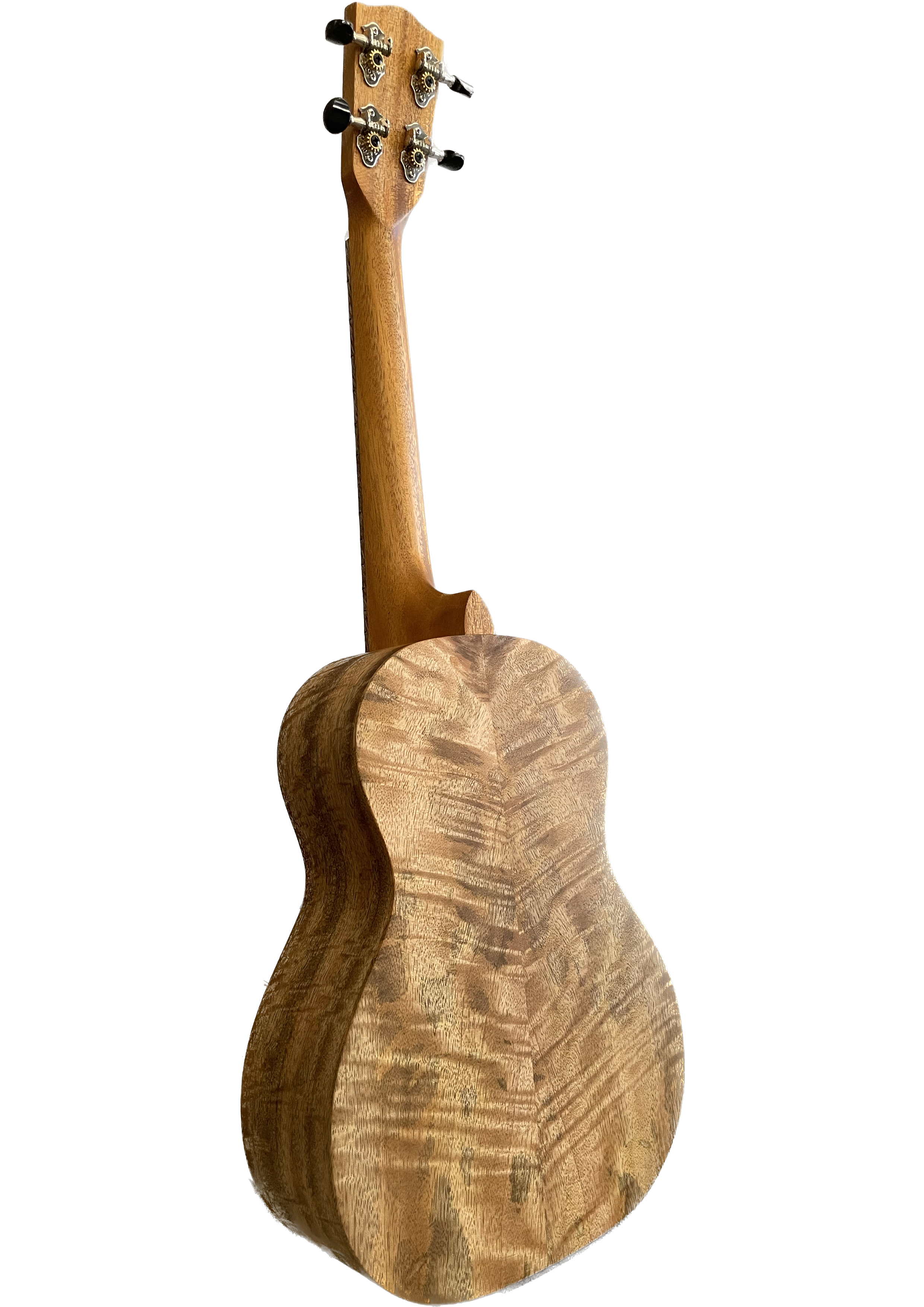 Untitled_Artwork (6).png