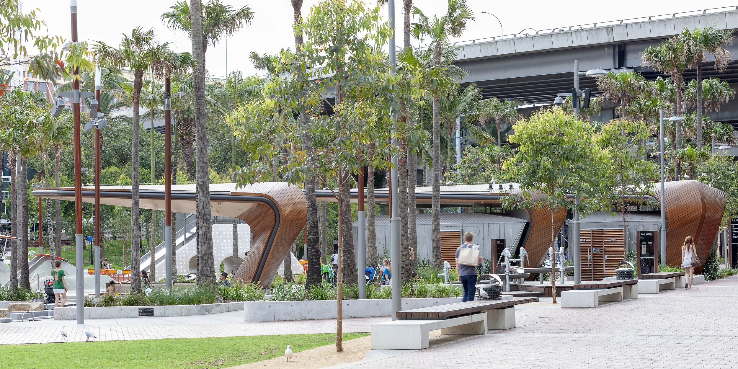 111114_Darling Walk_004.jpg