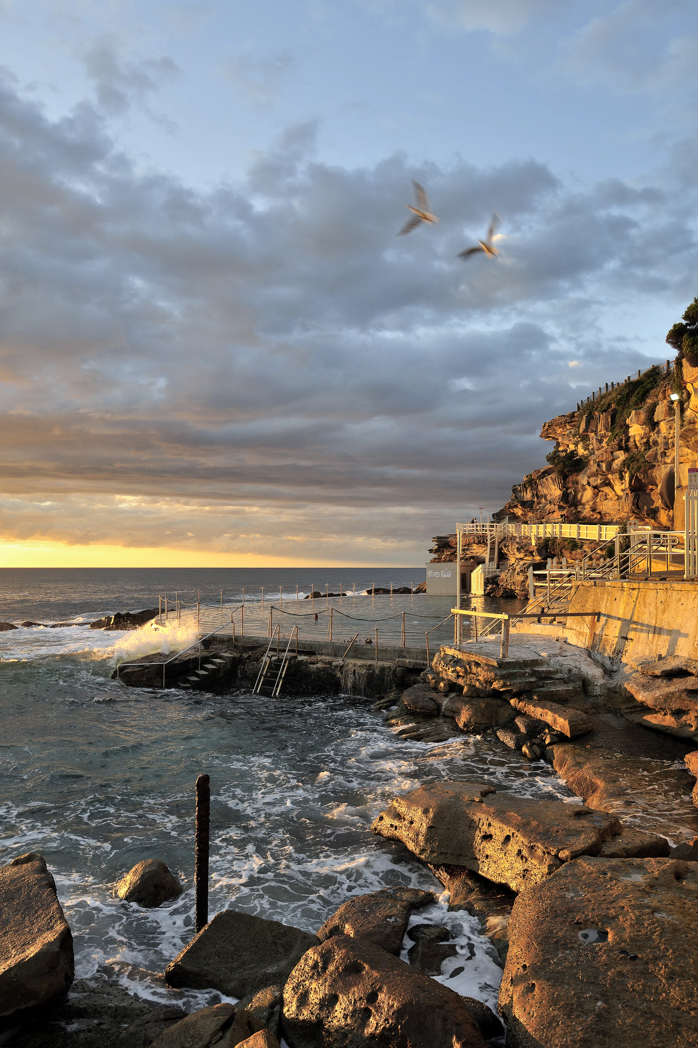 090426_Bronte_006.jpg