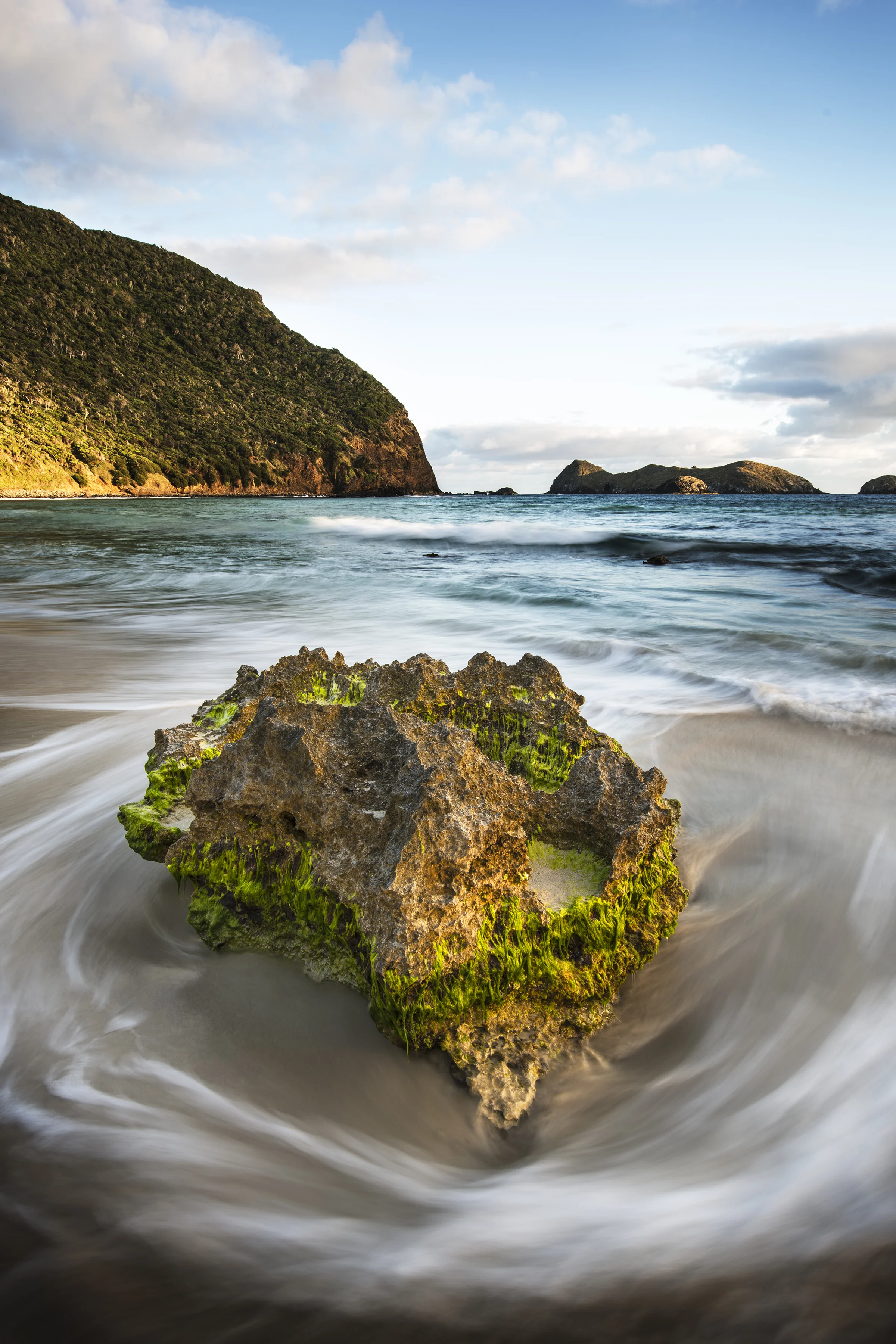 131103_Lord Howe Island_0189.jpg