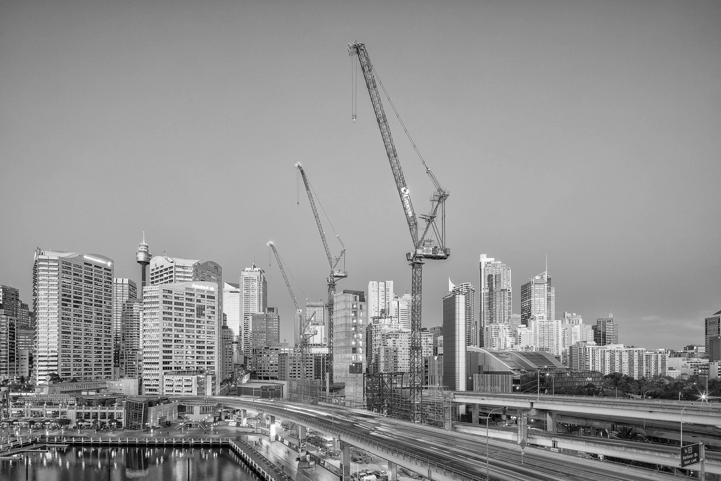180813_Titan Cranes_020_B&W.jpg
