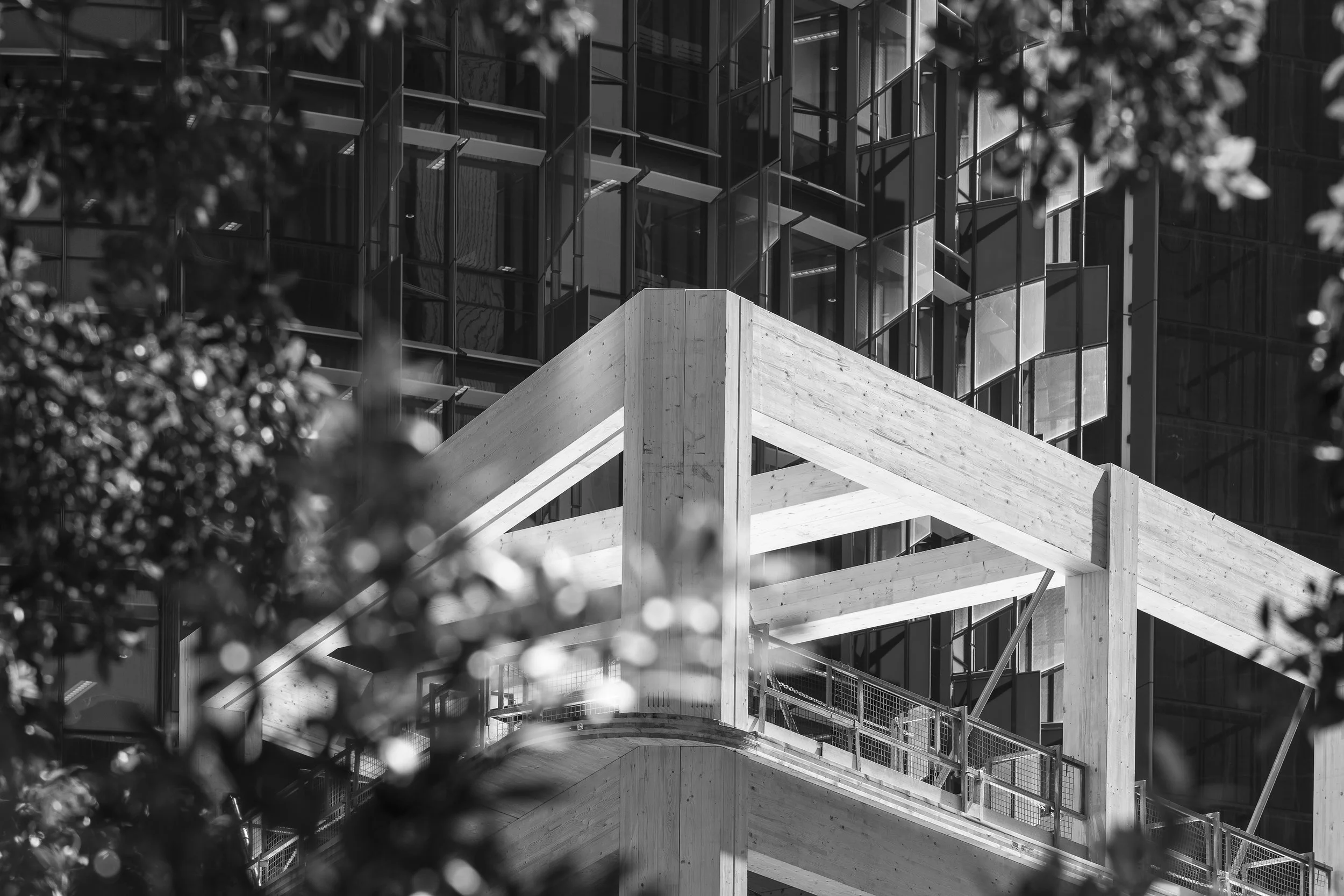 190326_Barangaroo_048_B&W.jpg