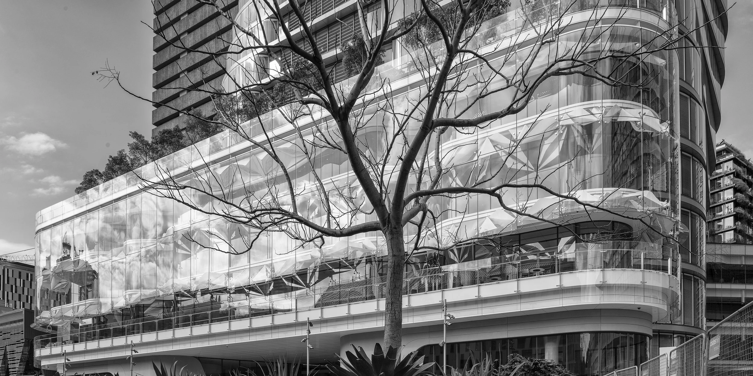 190804_UTS Central_020.jpg