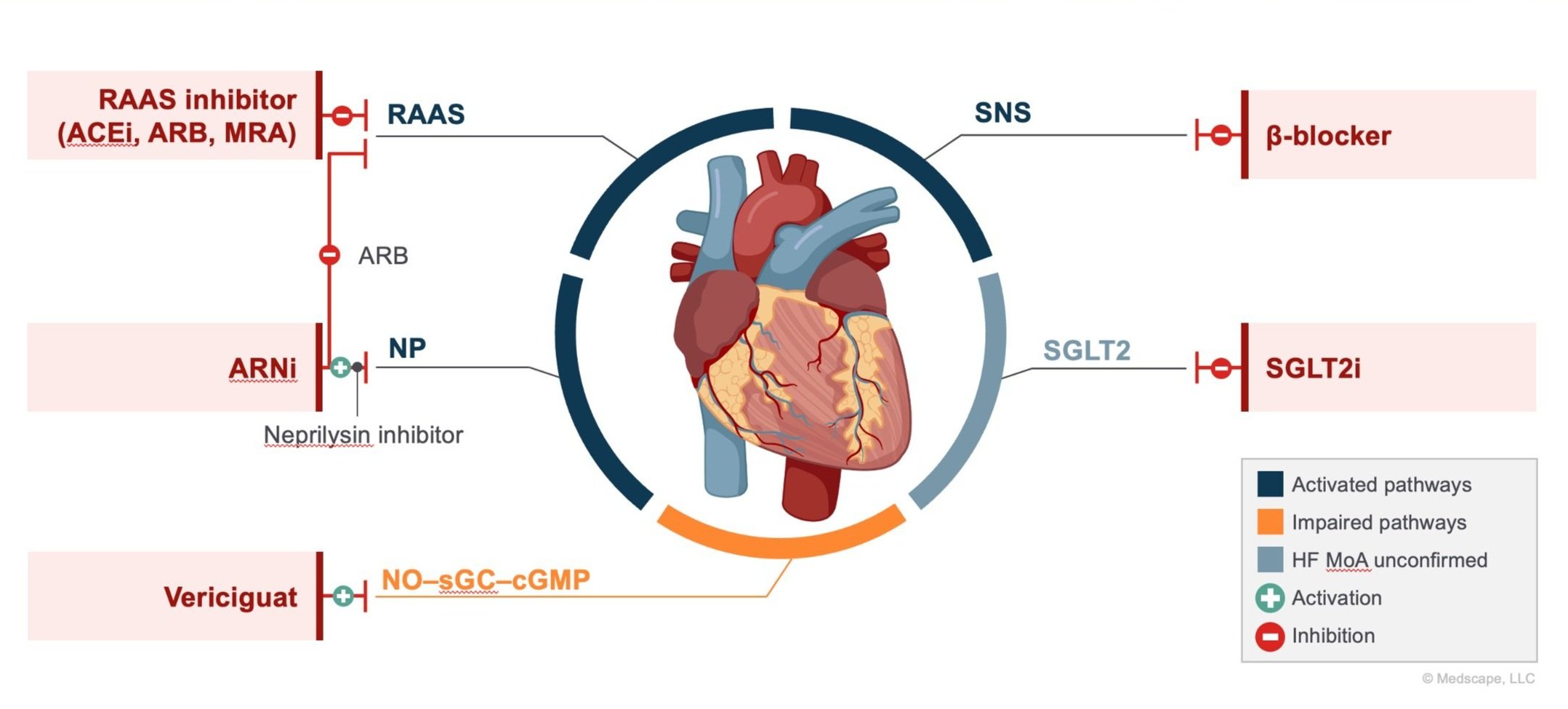 Medications and the Heart