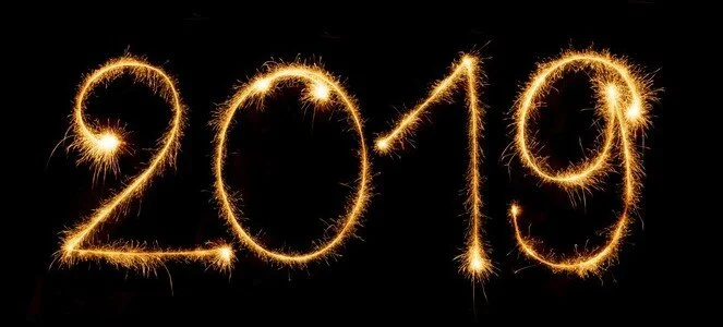 2019,  Year in Review and Looking into 2020