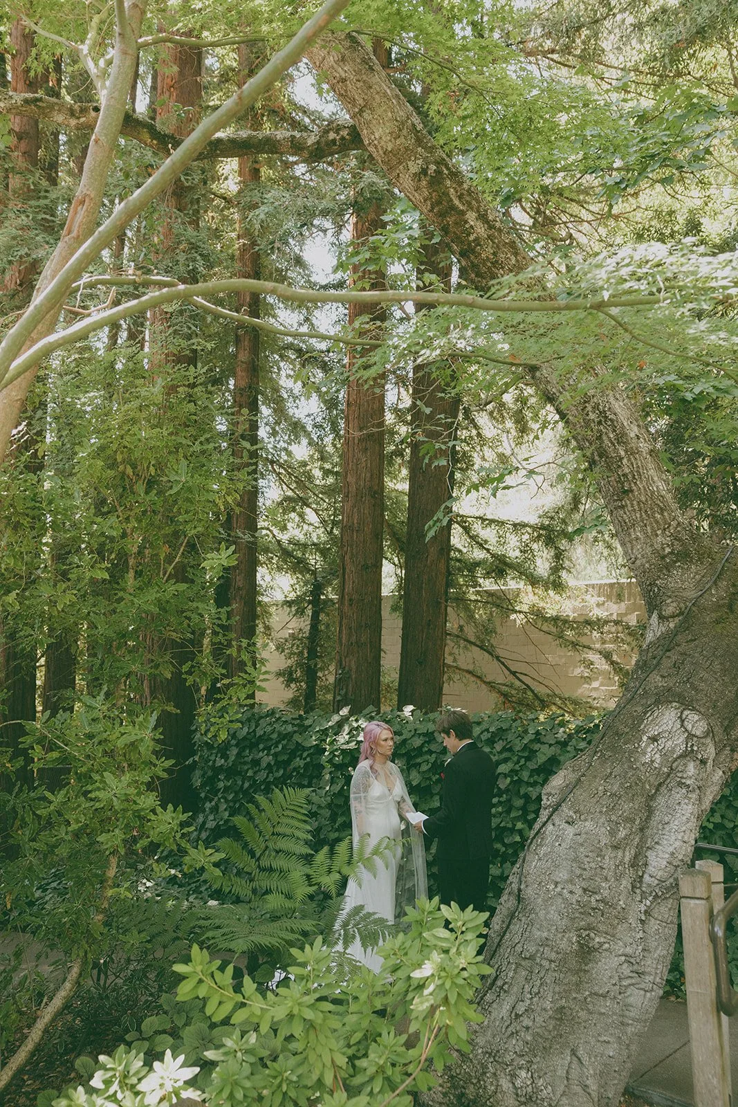 SaraDanielWedding_KDPhotography (53 of 683).jpg