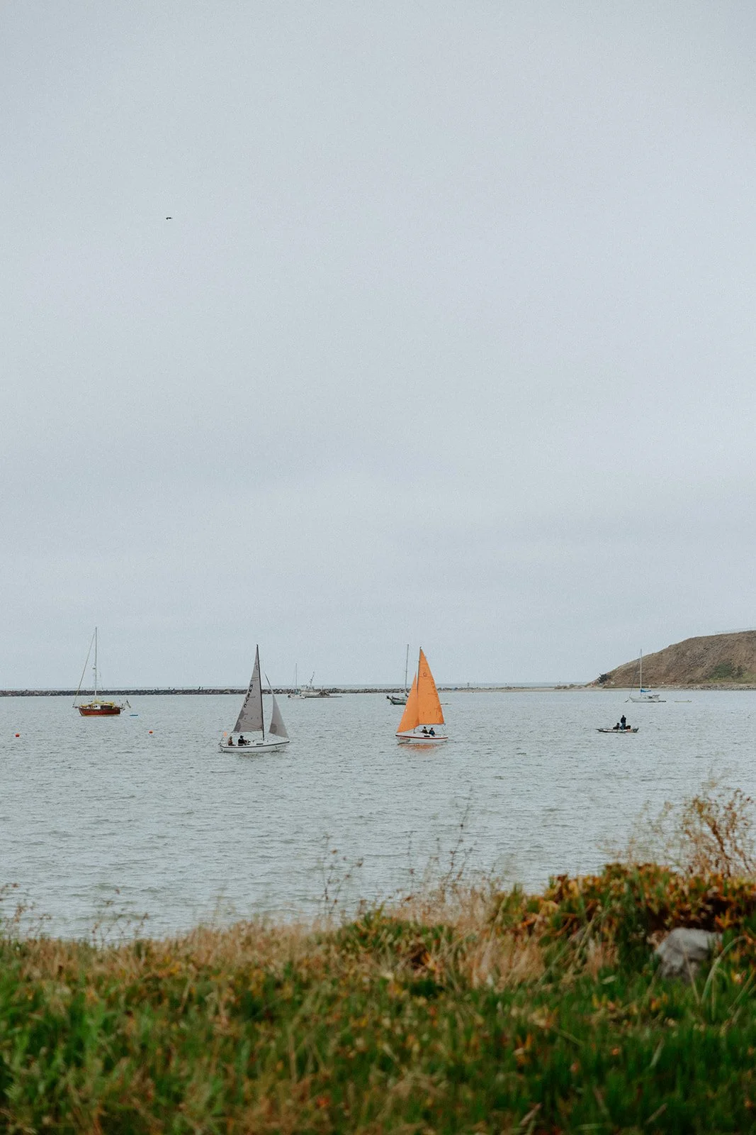 JamesMartaWedding_KDP (68 of 812).jpg