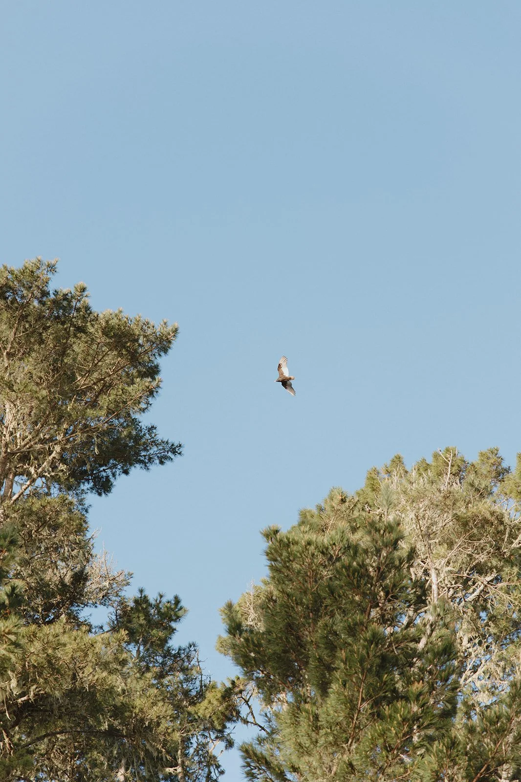 LindseyKevinWedding_KDPhotography (155 of 398).jpg