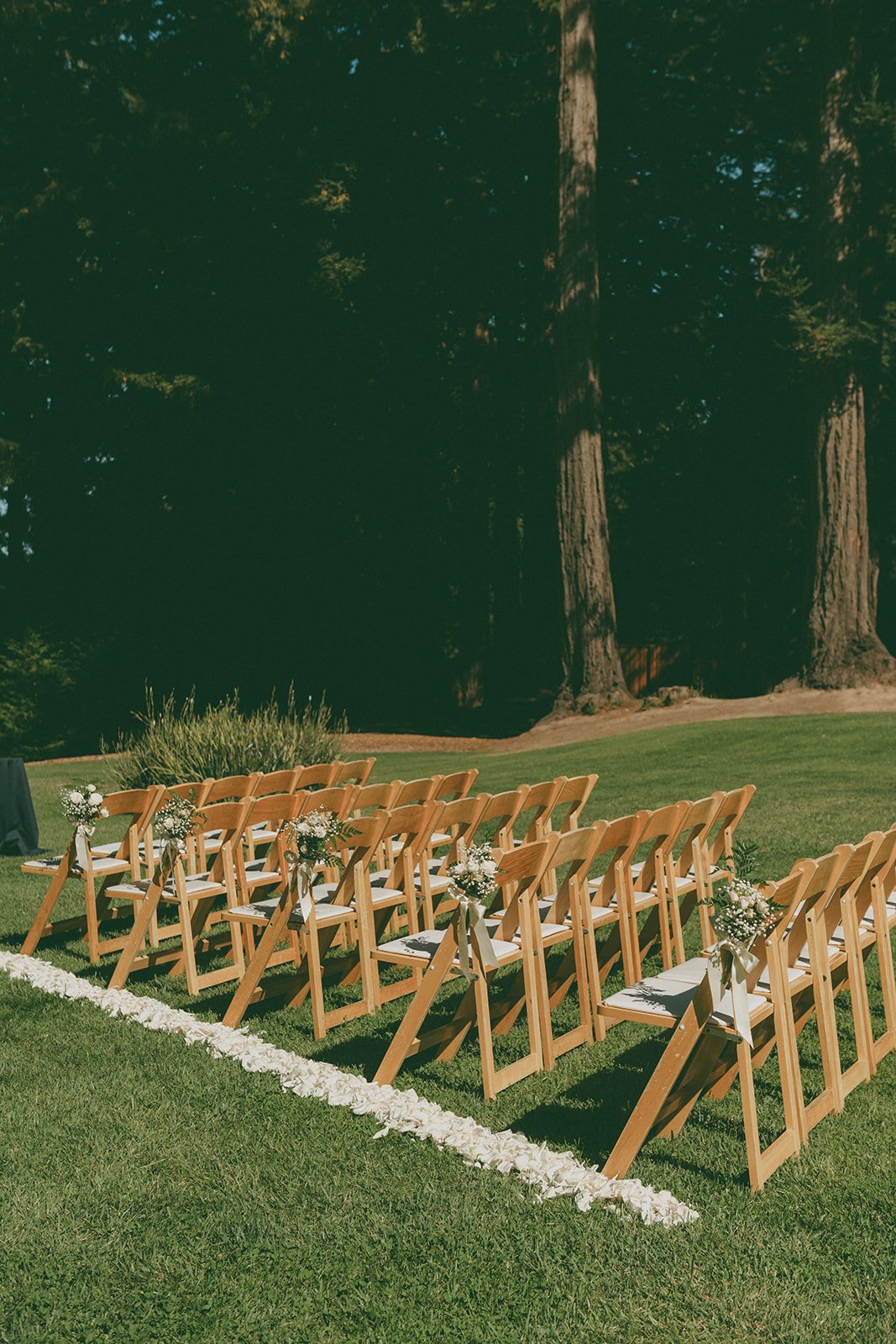 SaraRileyWedding_KDPhotography (115 of 396).jpg