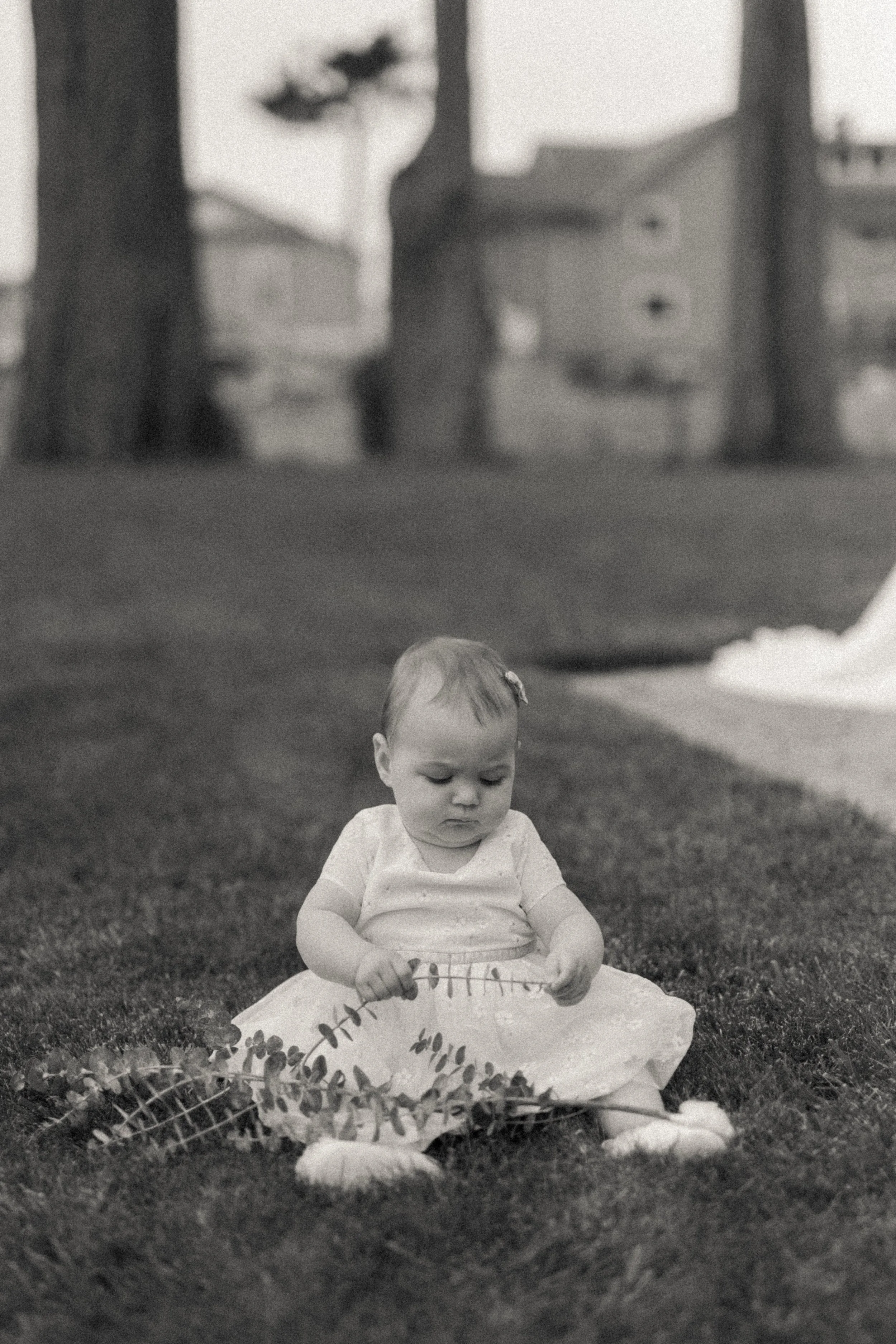 Haley_Liam_Wedding_KDPhotography (184 of 756).jpg