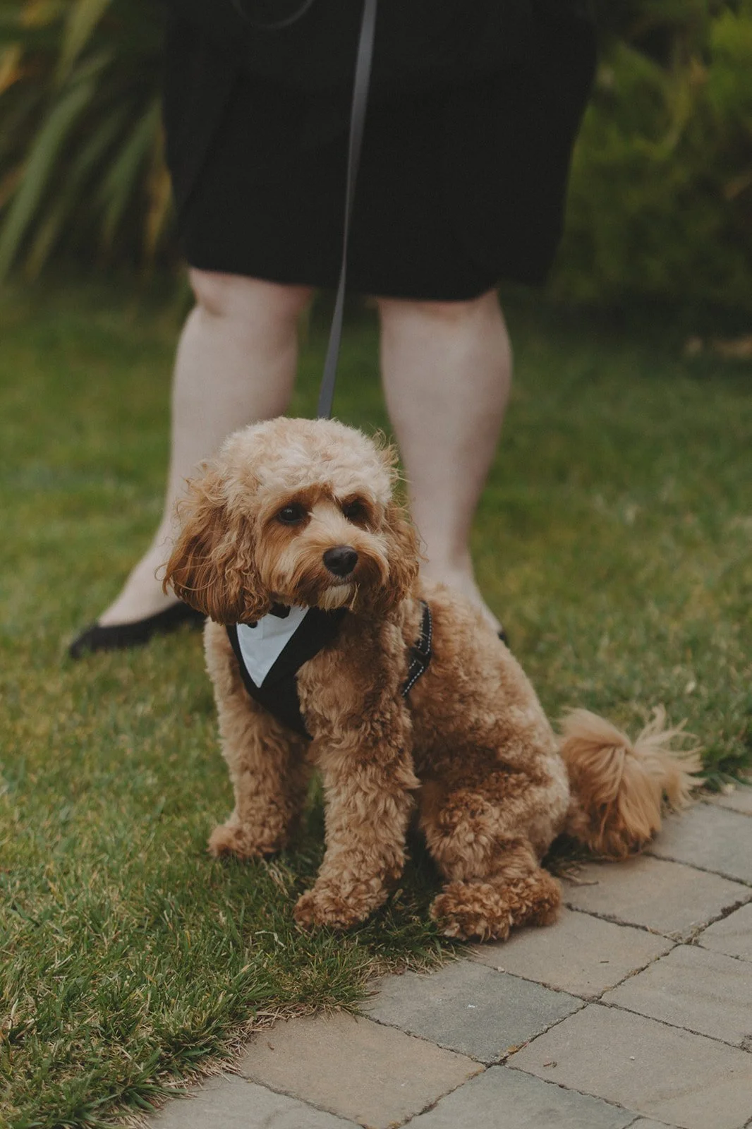 JamesMartaWedding_KDP (322 of 812).jpg