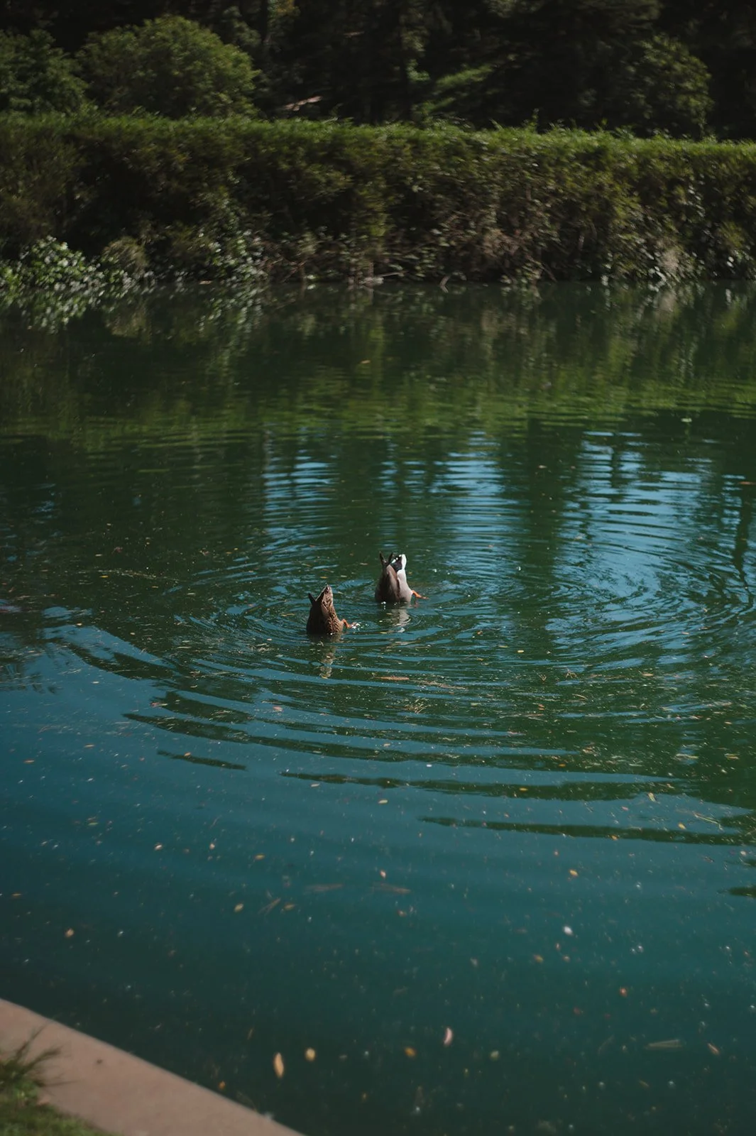 HarveyWhitney_KDPhotography (3 of 198).jpg