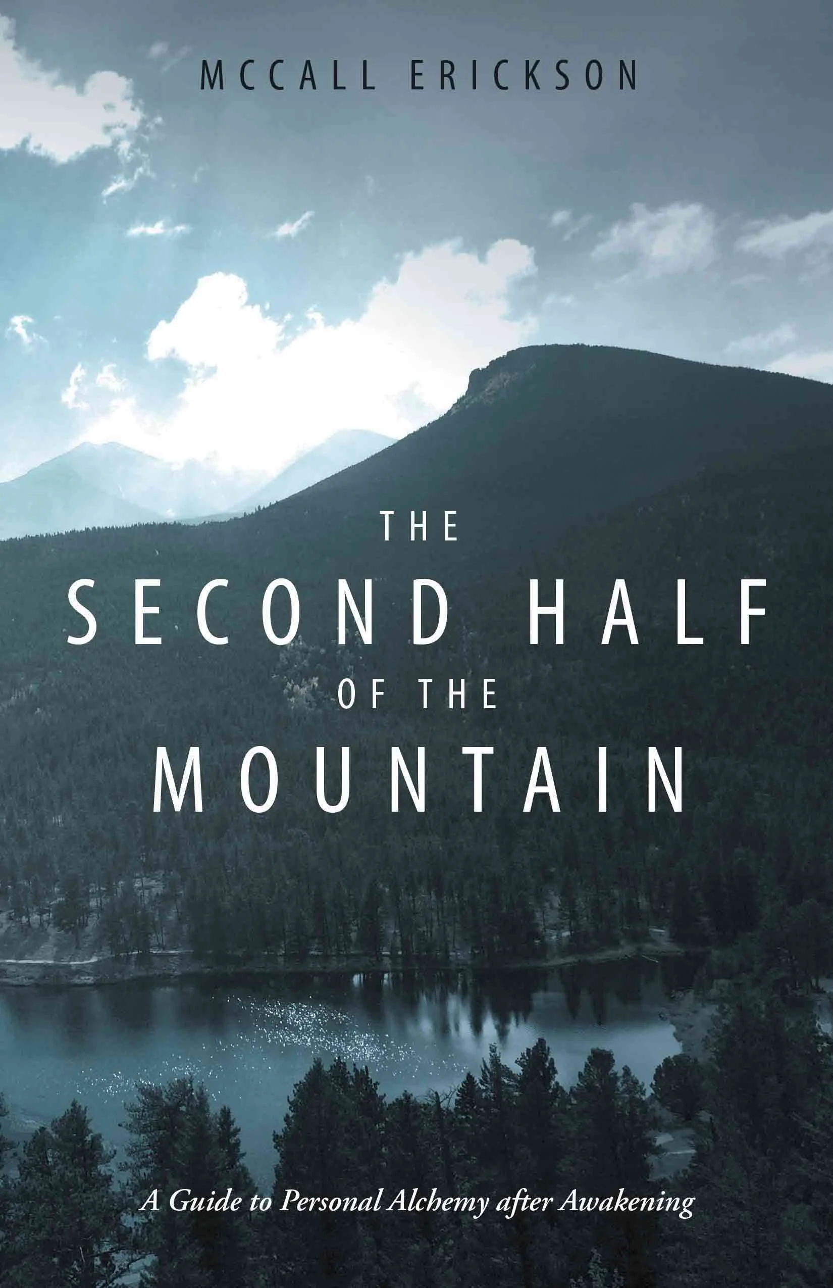 Book Cover File.jpg