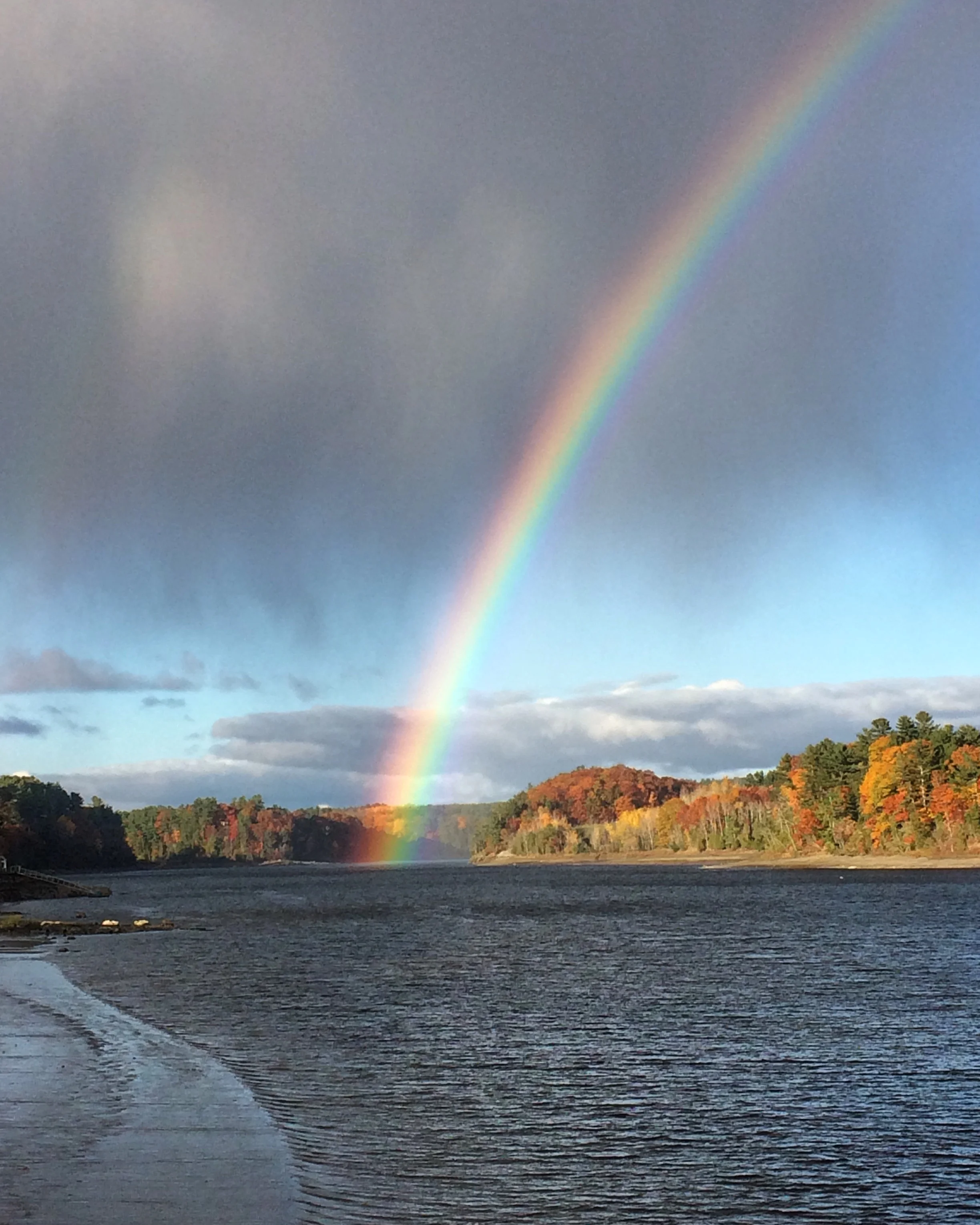 Rainbow.jpg