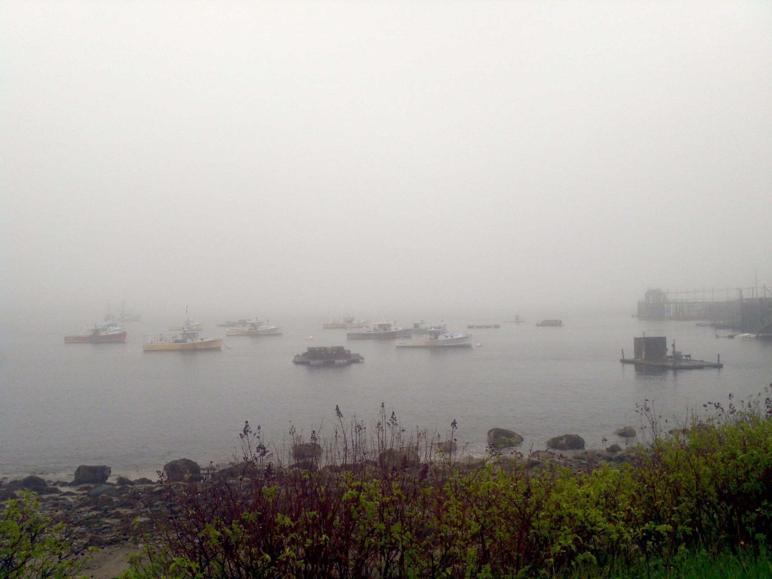 Foggy Boats.jpg