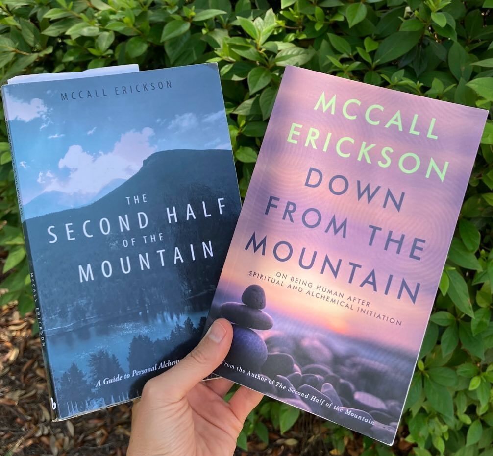 Happy World Book day!

Two books, two journeys:

1. Initiation to the true self (The Second Half of the Mountain)

2. Integration of the true self in all areas and relational spaces of life. Oh my! (Down from the Mountain)

I explore both journeys th