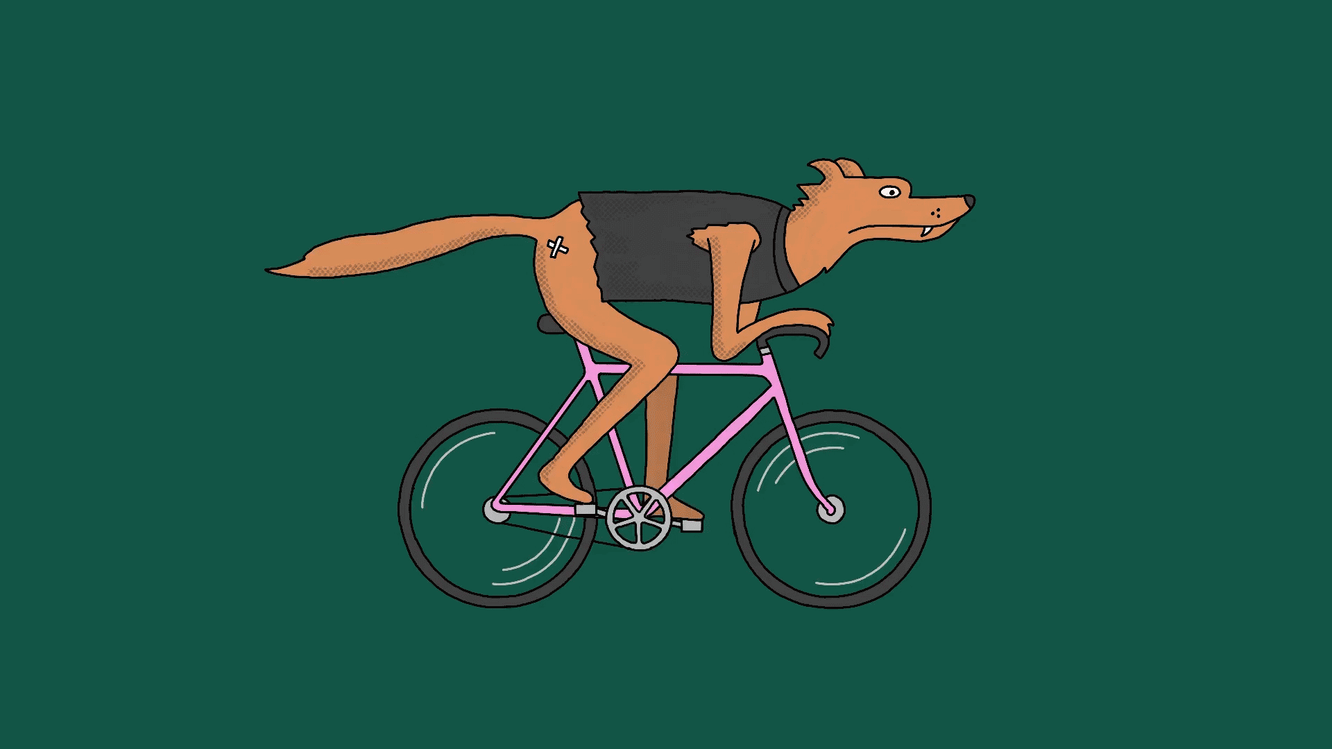 Coyote — Chris Stokes