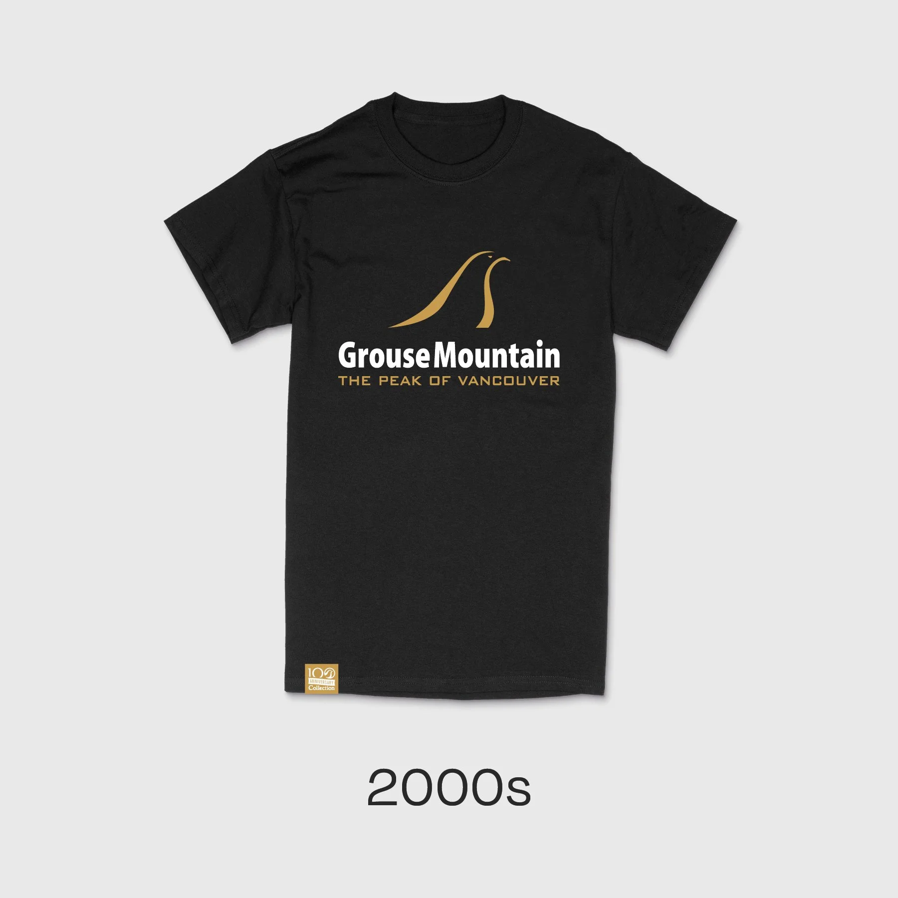 New Merch Mockups v2 9.jpg