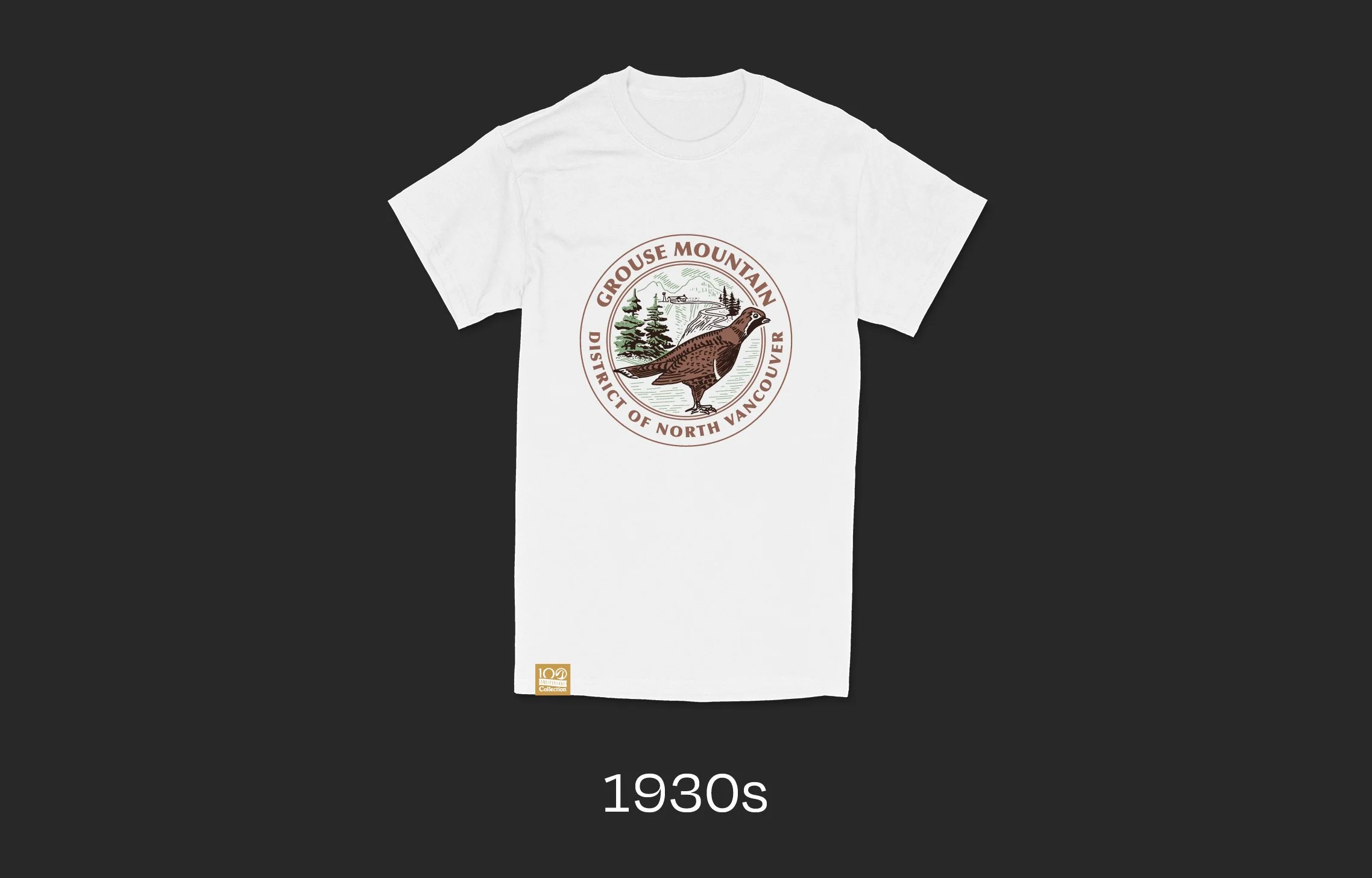 New Merch Mockups v32.jpg