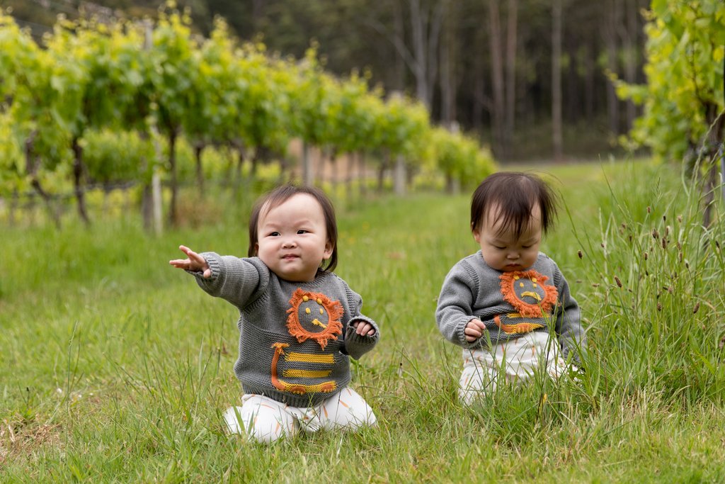 Bubs playing in the vineyard