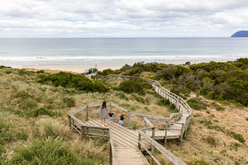 Boardwalk to the beach and viewing platform for penguins, they didn't come out thou!