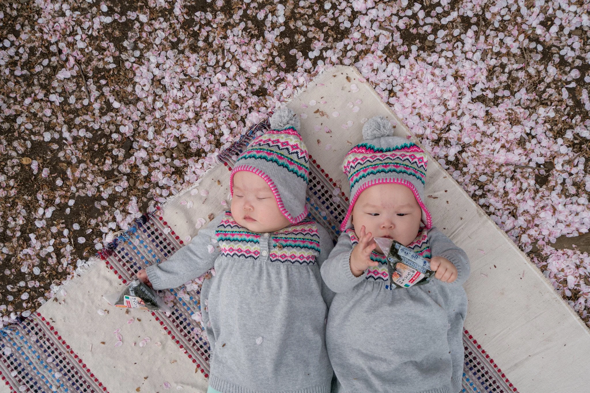 Tokyo + Kyoto, Japan (Cherry Blossom)