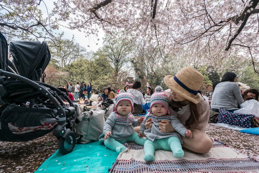 Found ourselves a nice and cosy spot for an afternoon picnic under the cherry blossom trees at Shinjuku Gyoen National Garden.