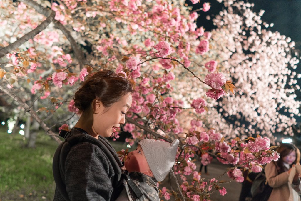 Illumination night at Nijo Castle