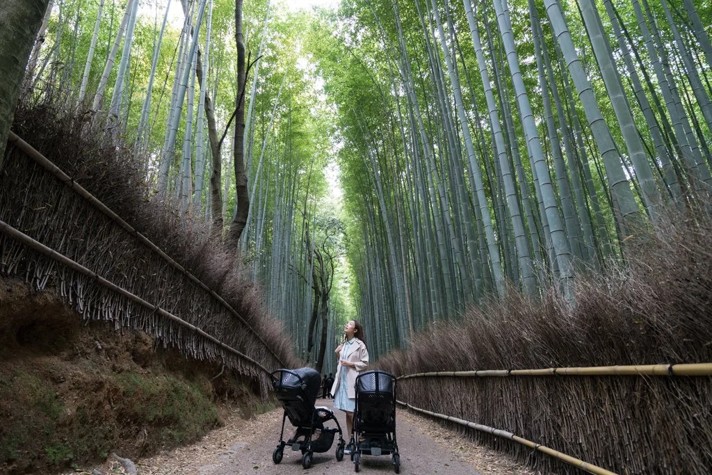 Tranquil Bamboo Forest, Arashimaya