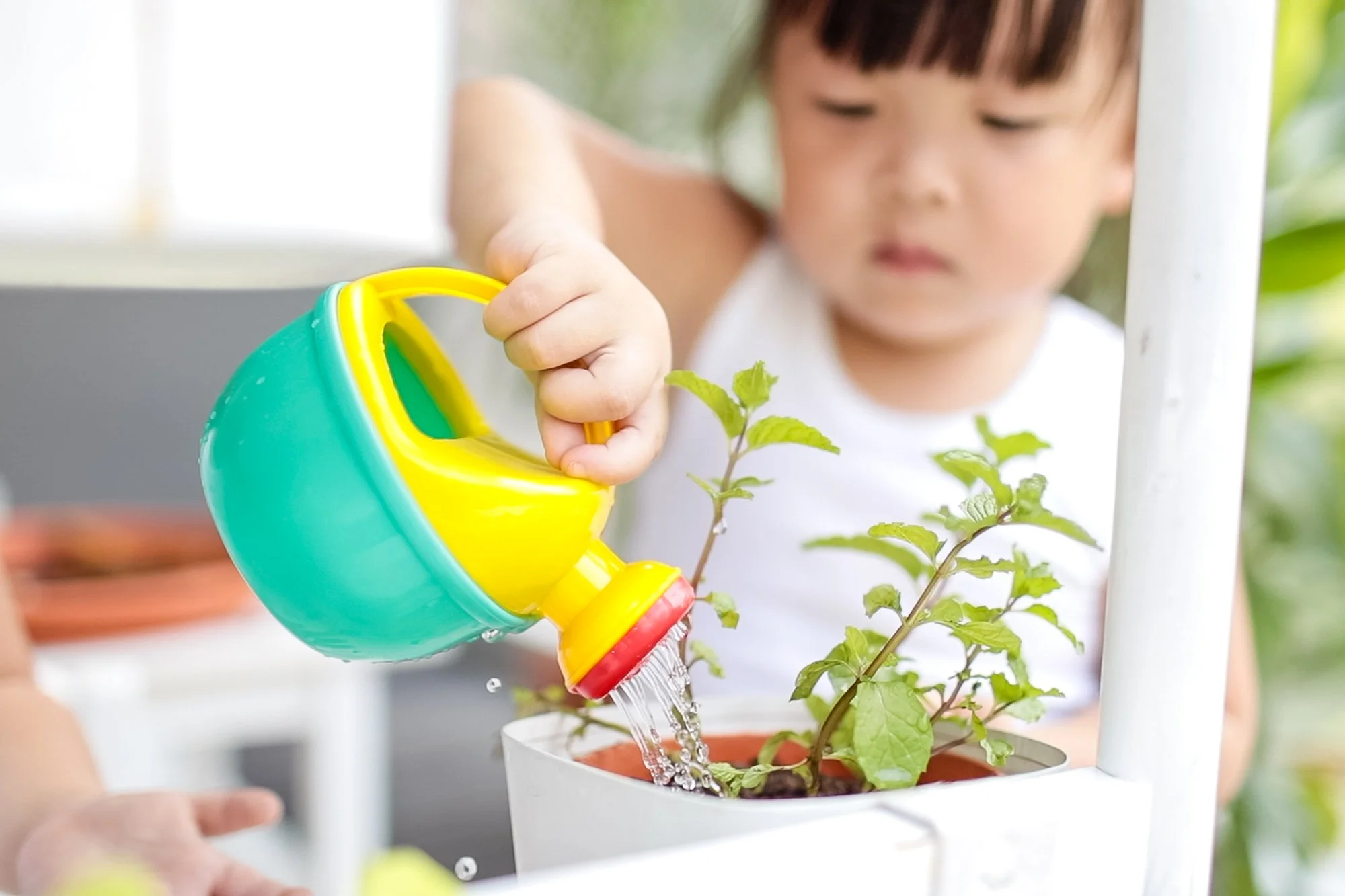 A Greener Future, One Wash at a Time