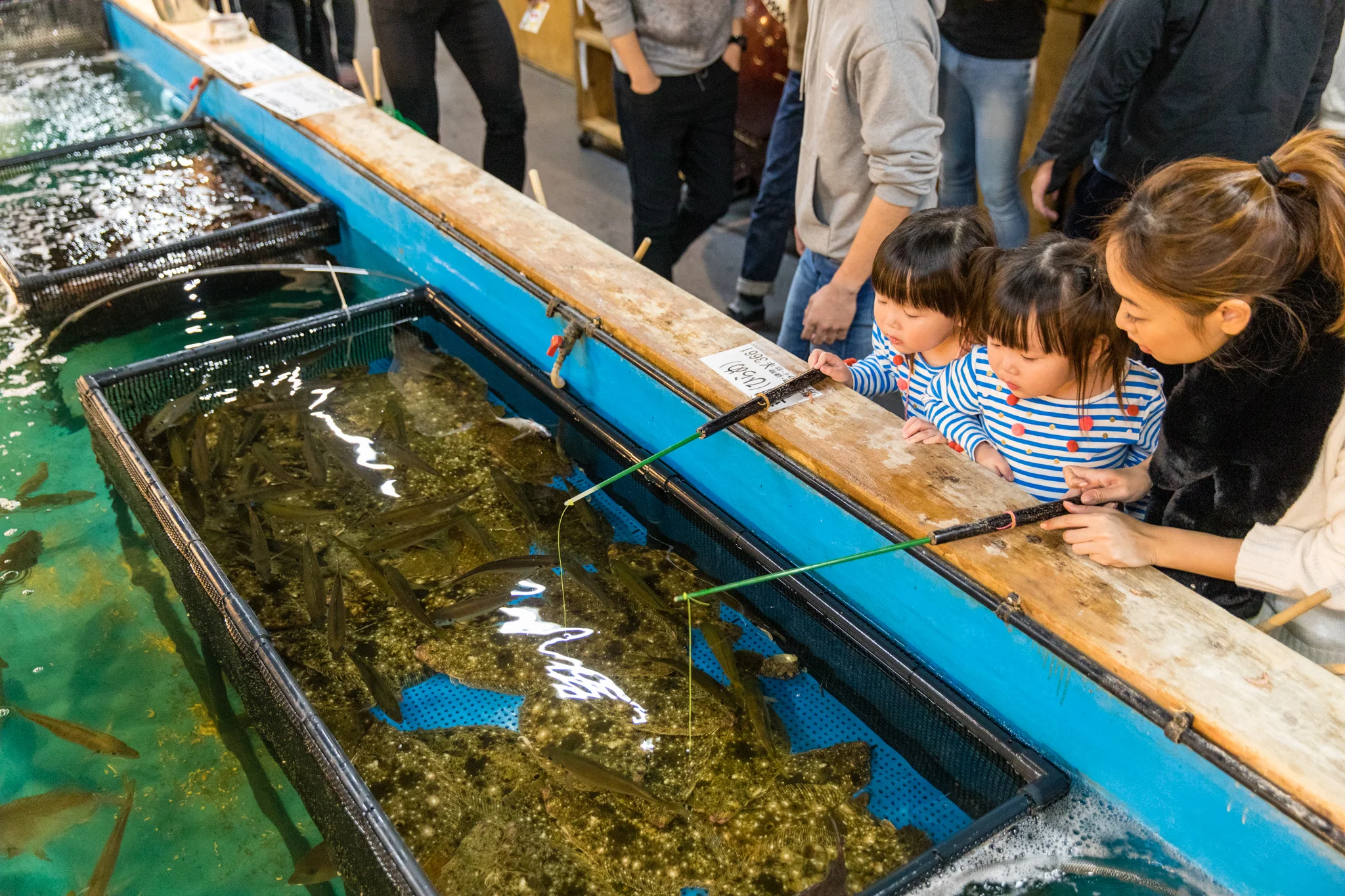 “I want to catch that one!”