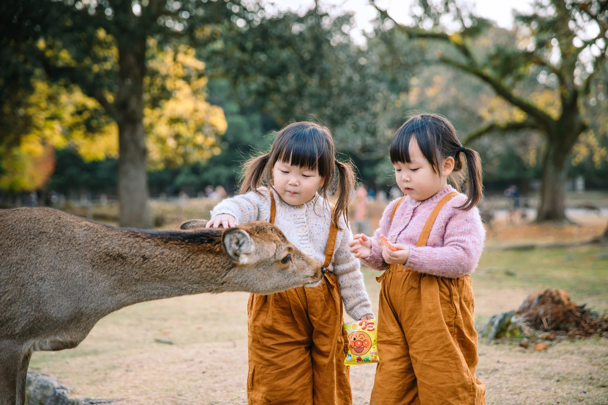 Kyoto and Osaka, Japan (6D road-trip)