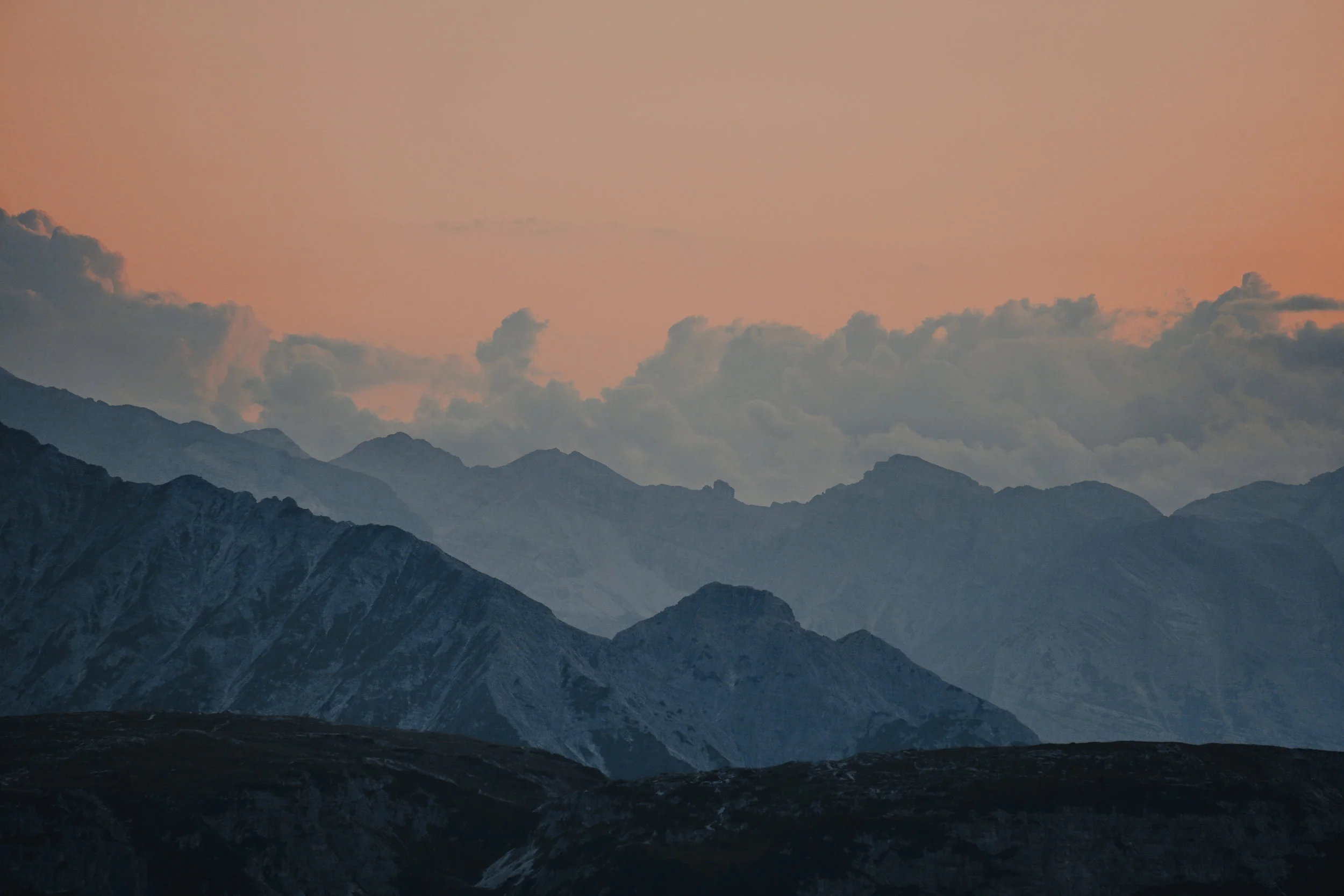 ORG_DSC02393.jpg