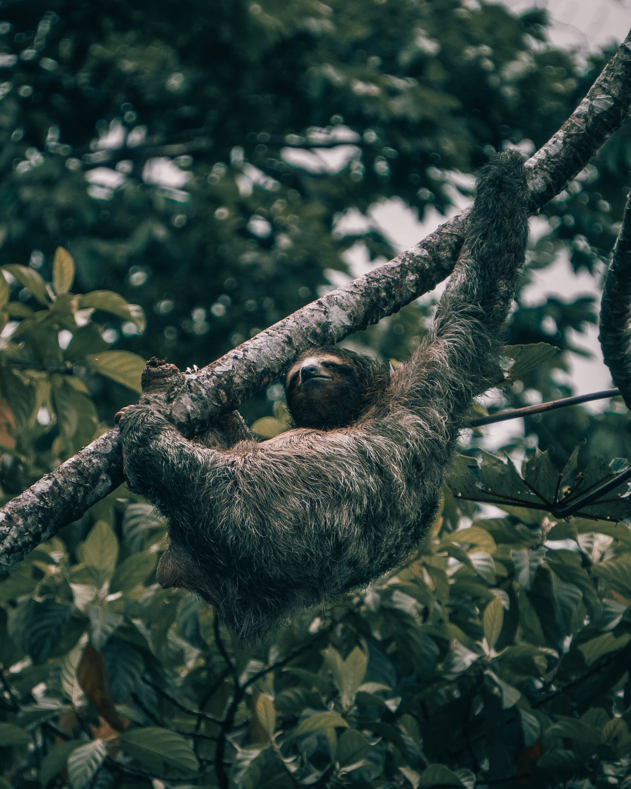 SR Photography_Panama2020-1.jpg