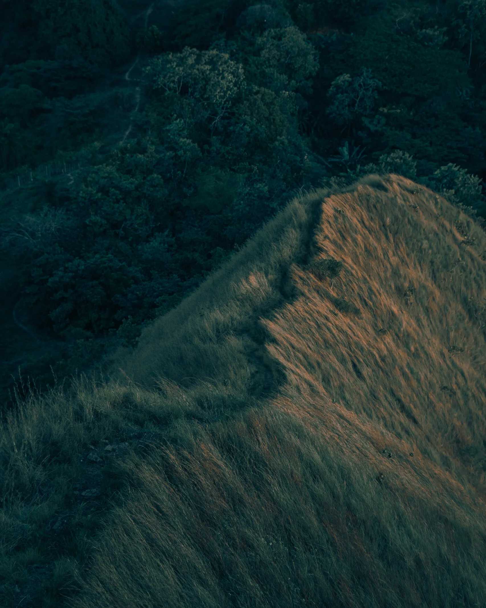 SR Photography_Panama2020-8.jpg