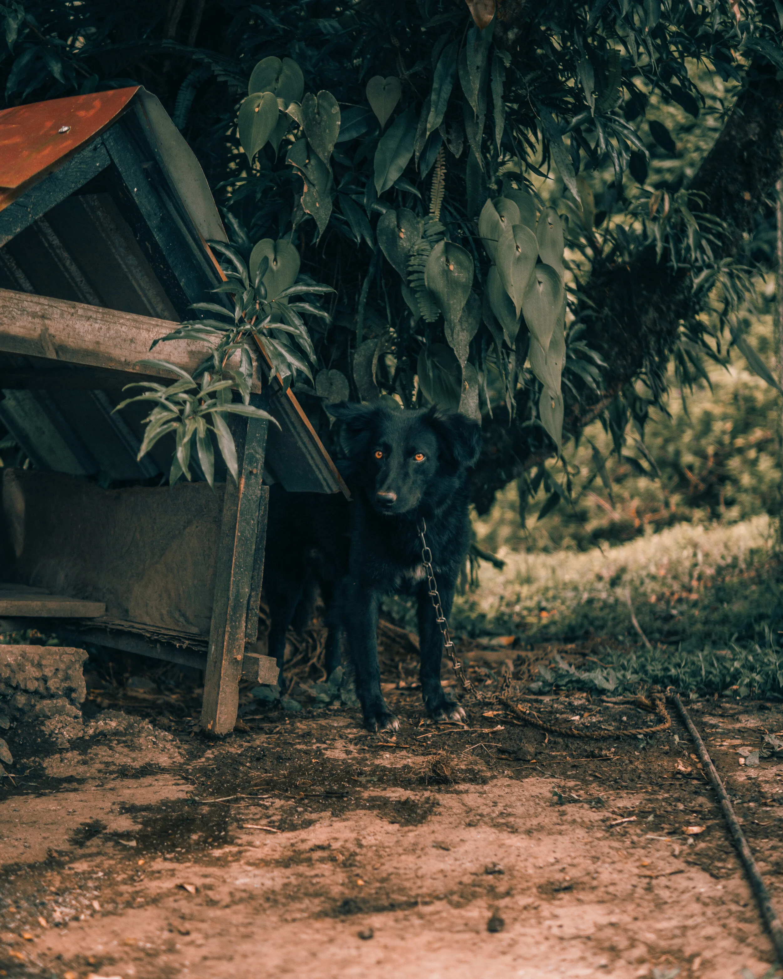 SR Photography_Panama2020-5.jpg