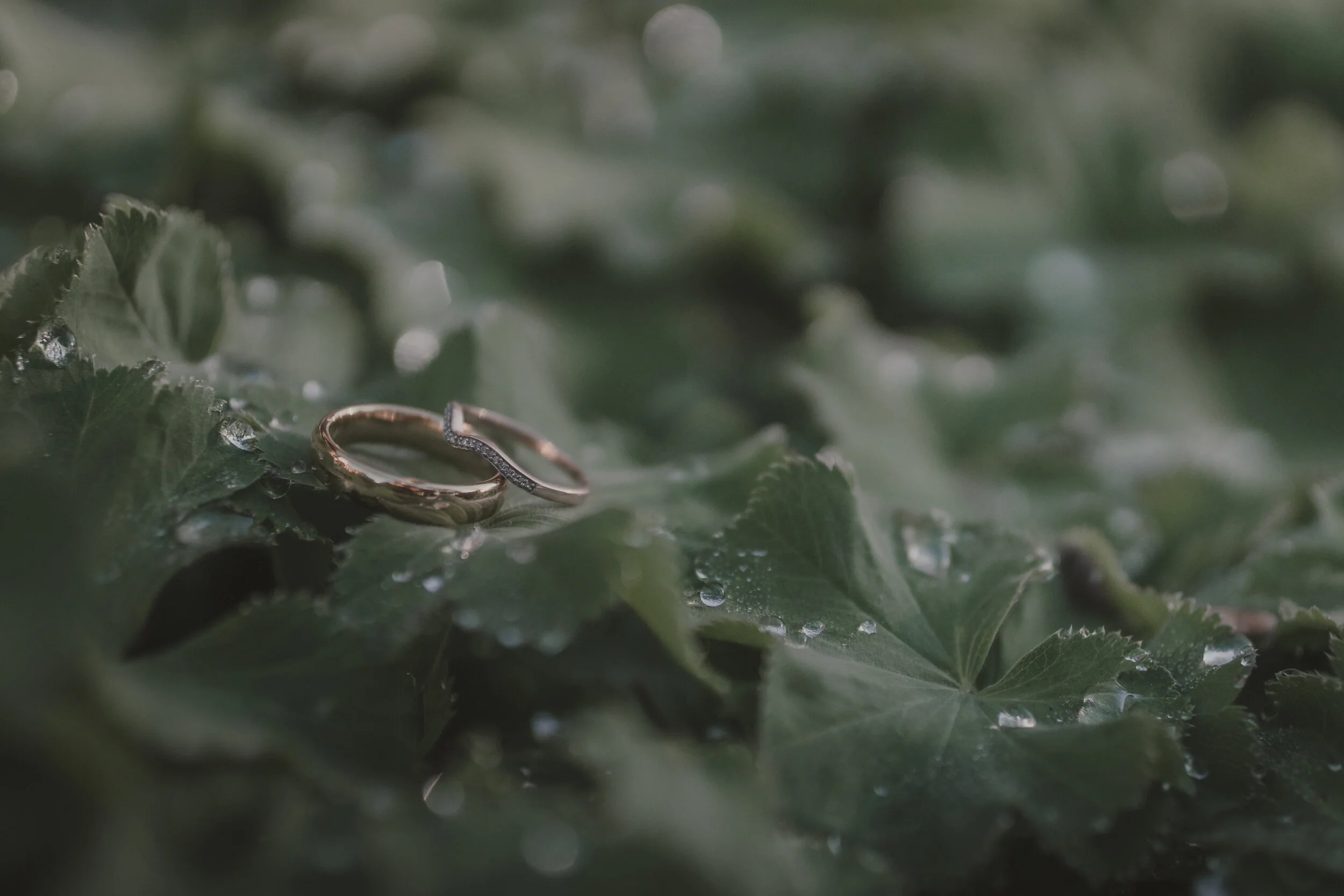 SR Photography_FirstLookRings-20.jpg