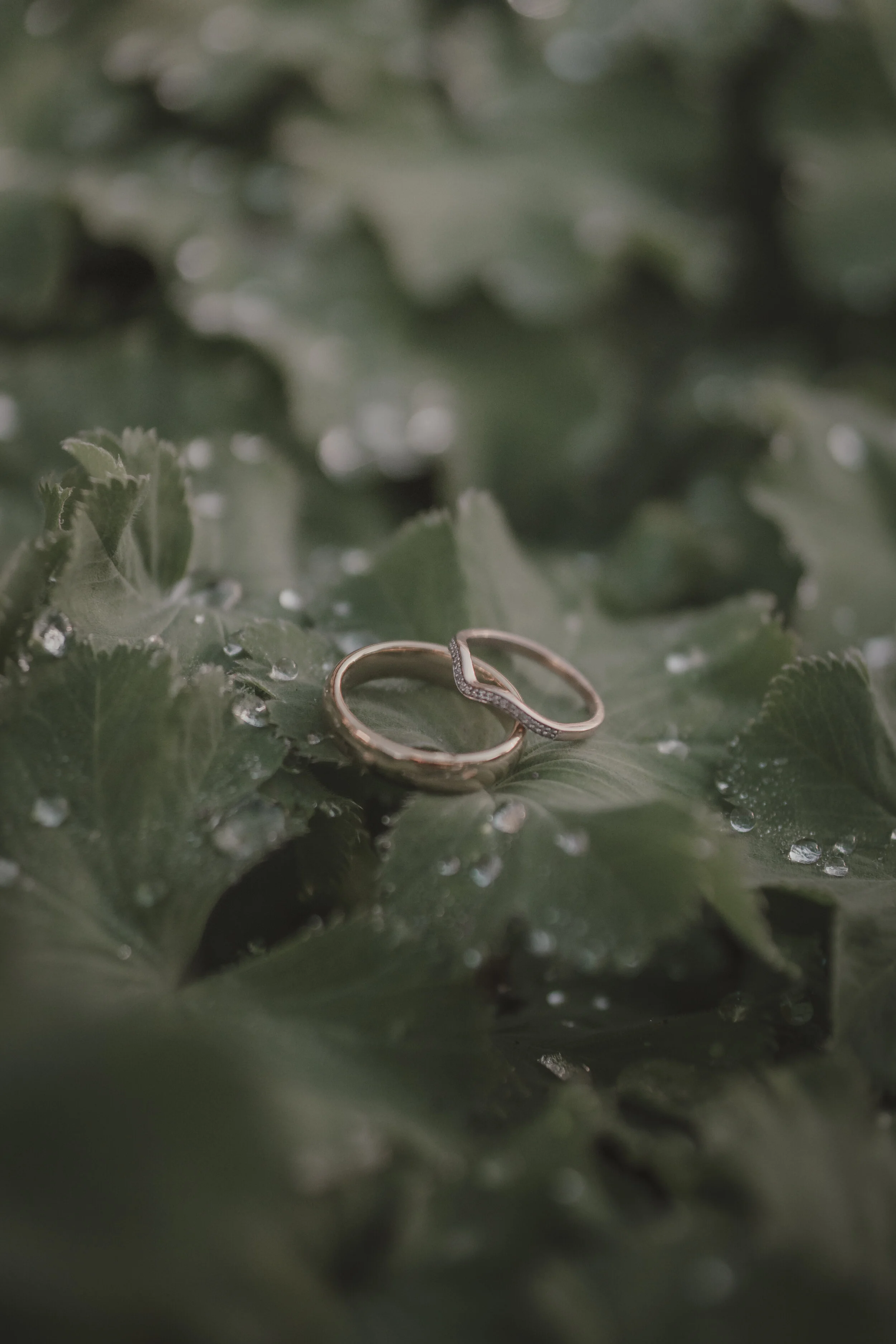 SR Photography_FirstLookRings-21.jpg