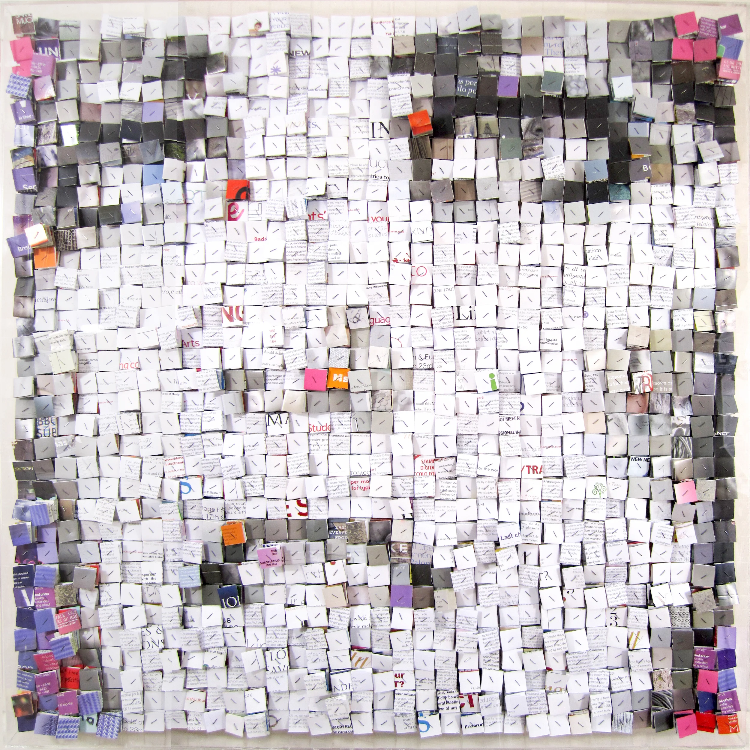 poportrait 