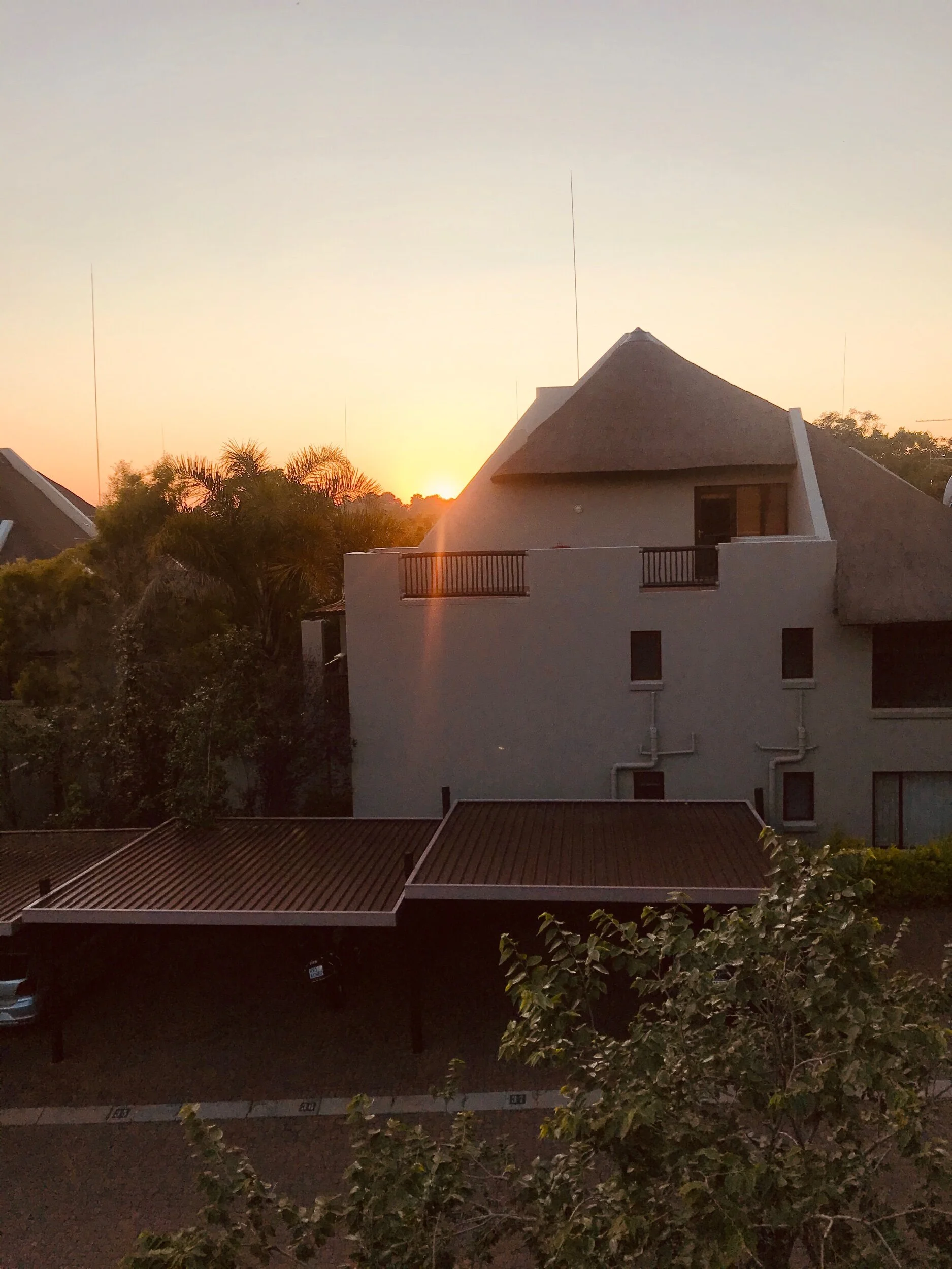 The morning’s peaceful sunrise before my fall.