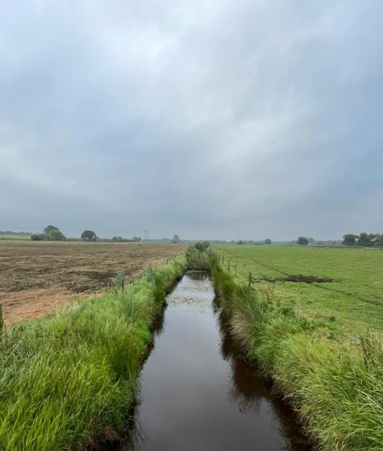 Yorkshire Wildlife Trust: Exploring natural capital for peatland restoration and nature-based solutions in Humberhead Levels